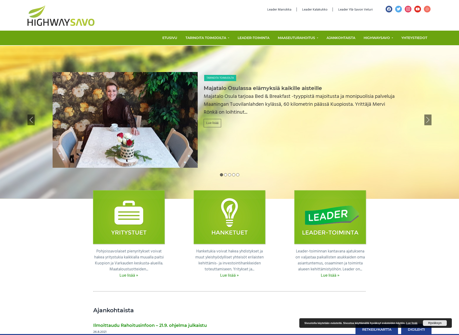Screenshot for hwsavo.fi