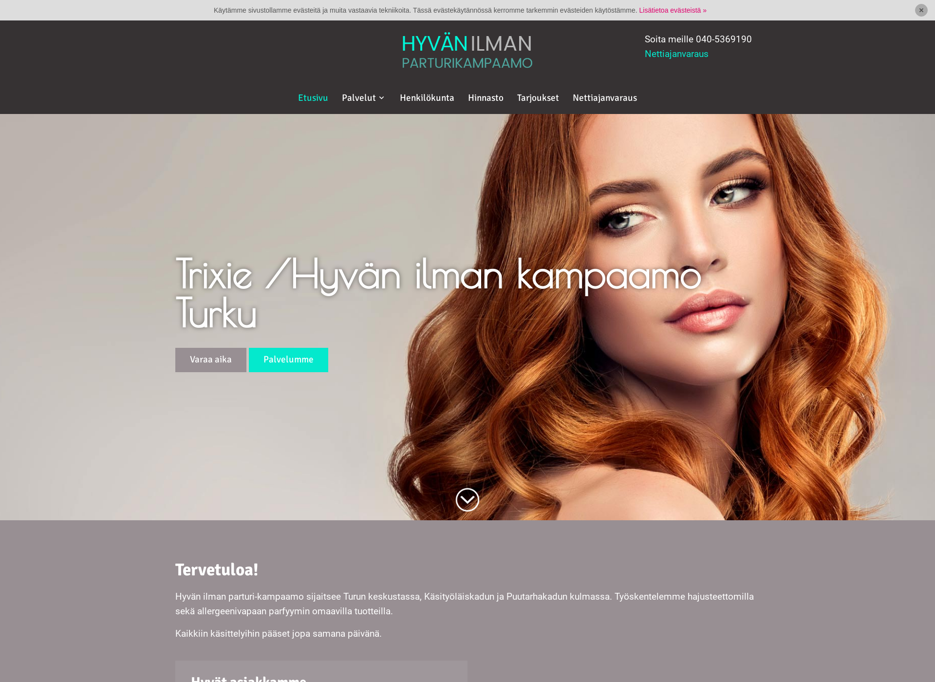 Screenshot for hyvanilmankampaamoturku.fi
