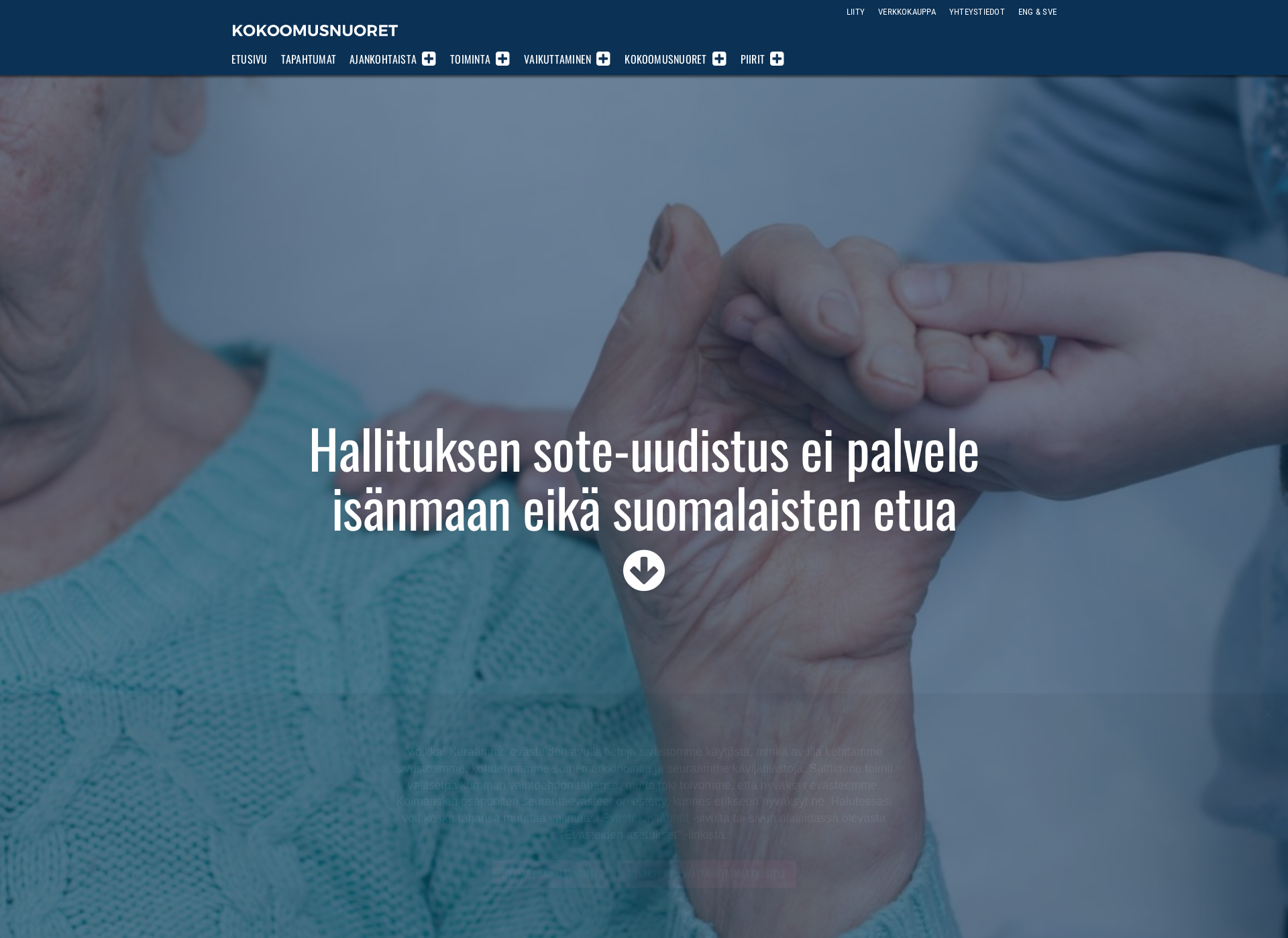 Näyttökuva hyvinvointialue.fi