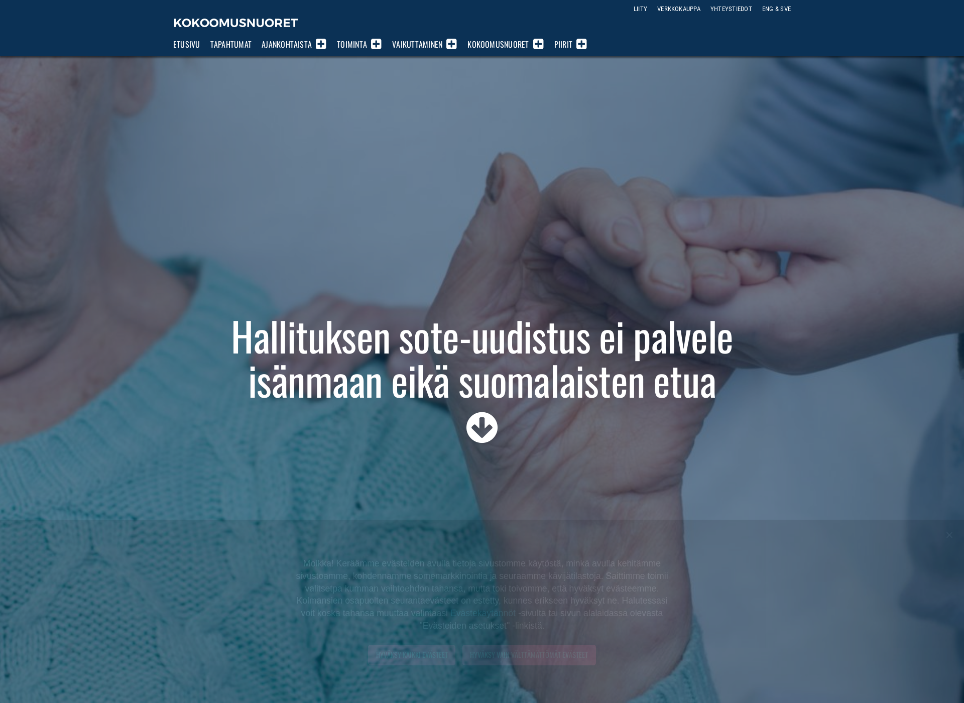 Screenshot for hyvinvointiuudistus.fi