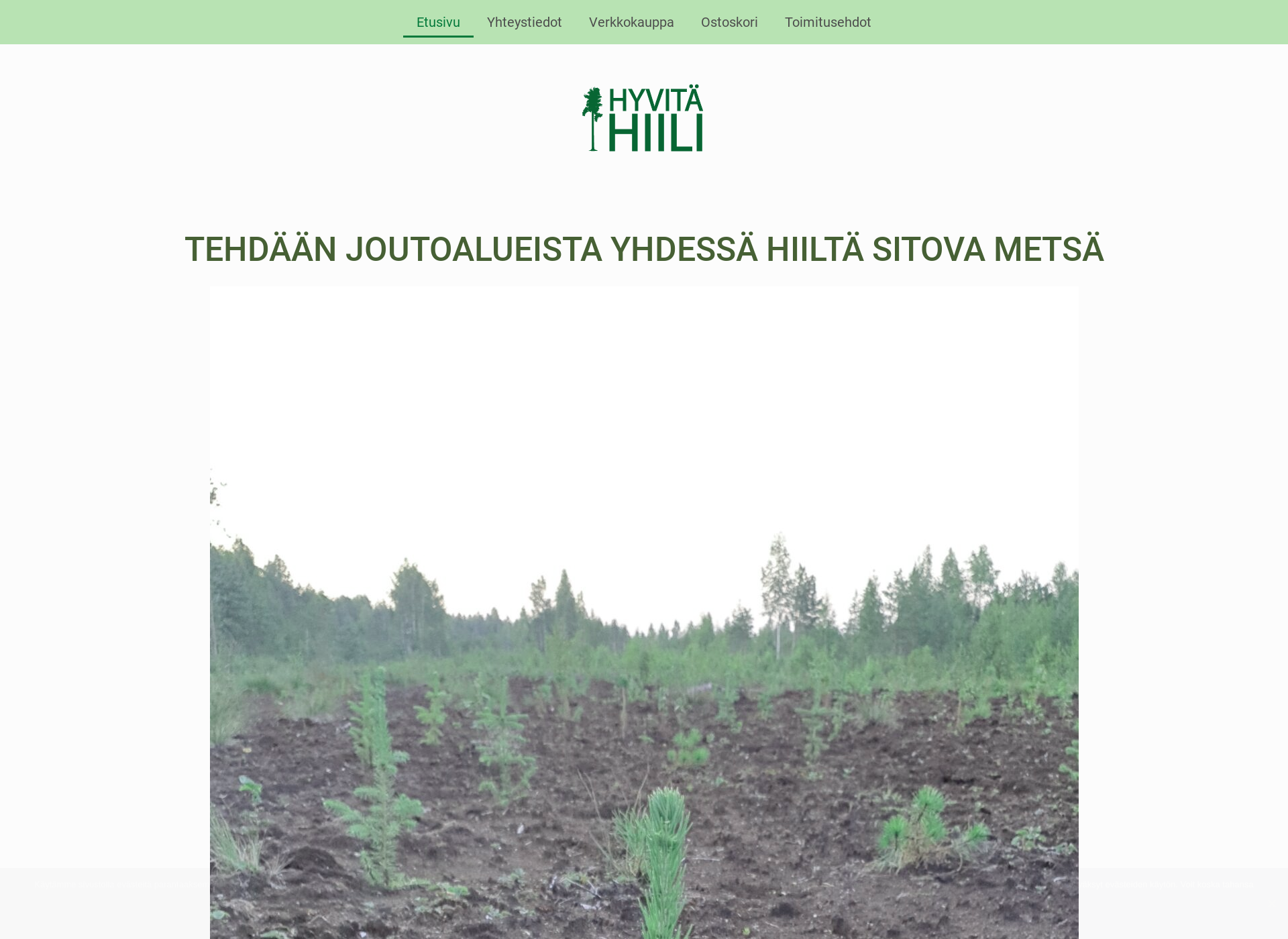 Screenshot for hyvitahiili.fi