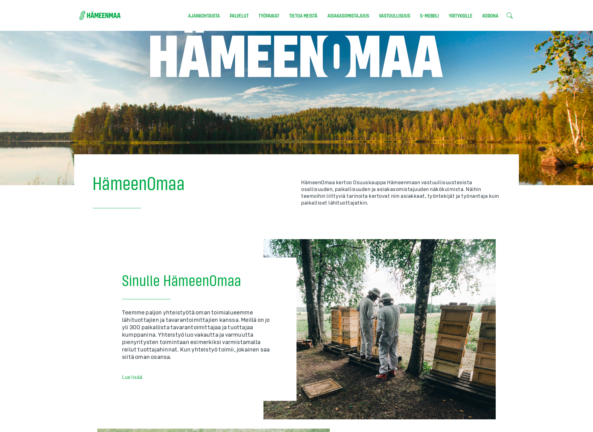 Screenshot for hämeenomaa.fi