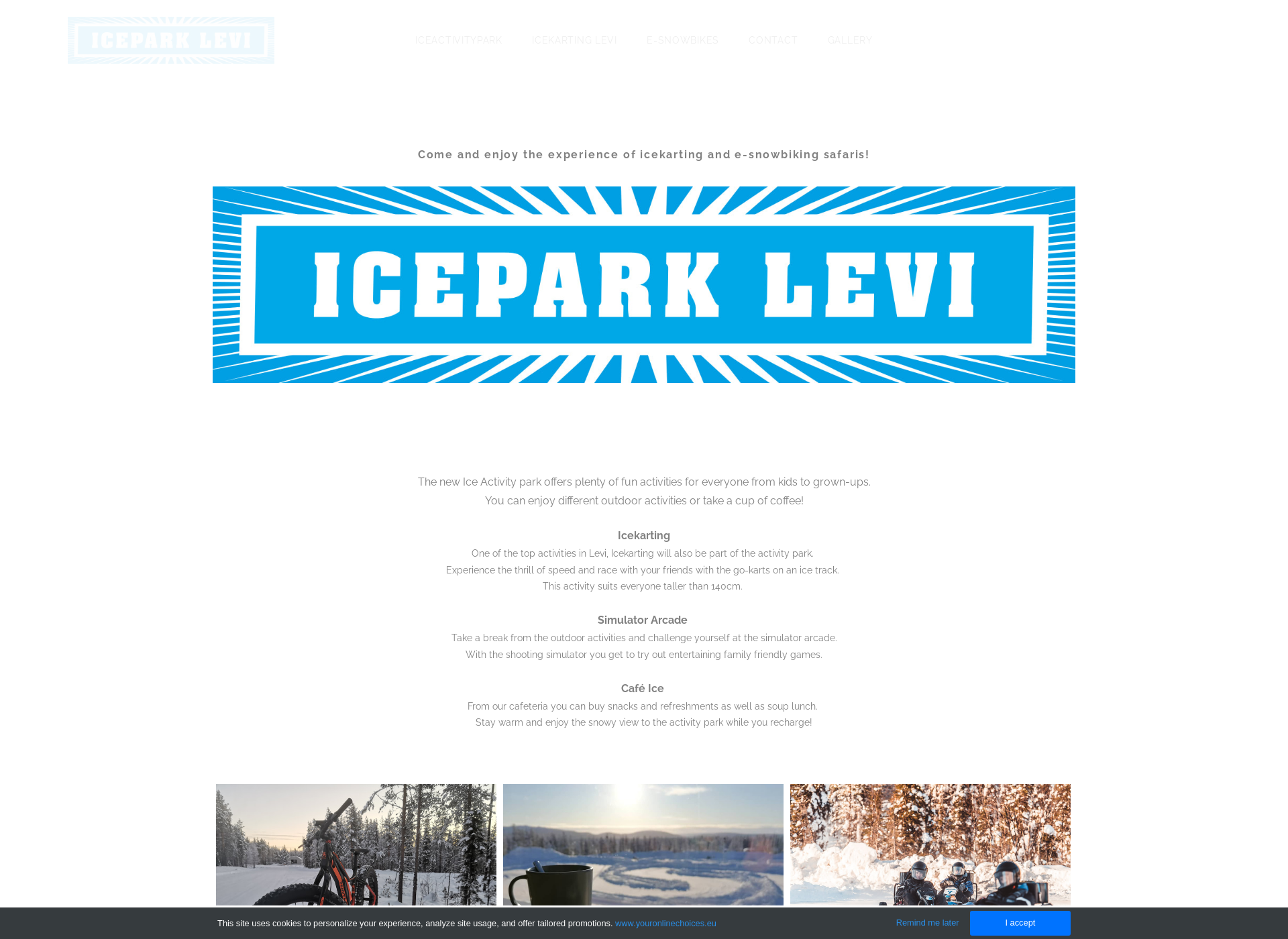 Screenshot for iceactivitypark.fi