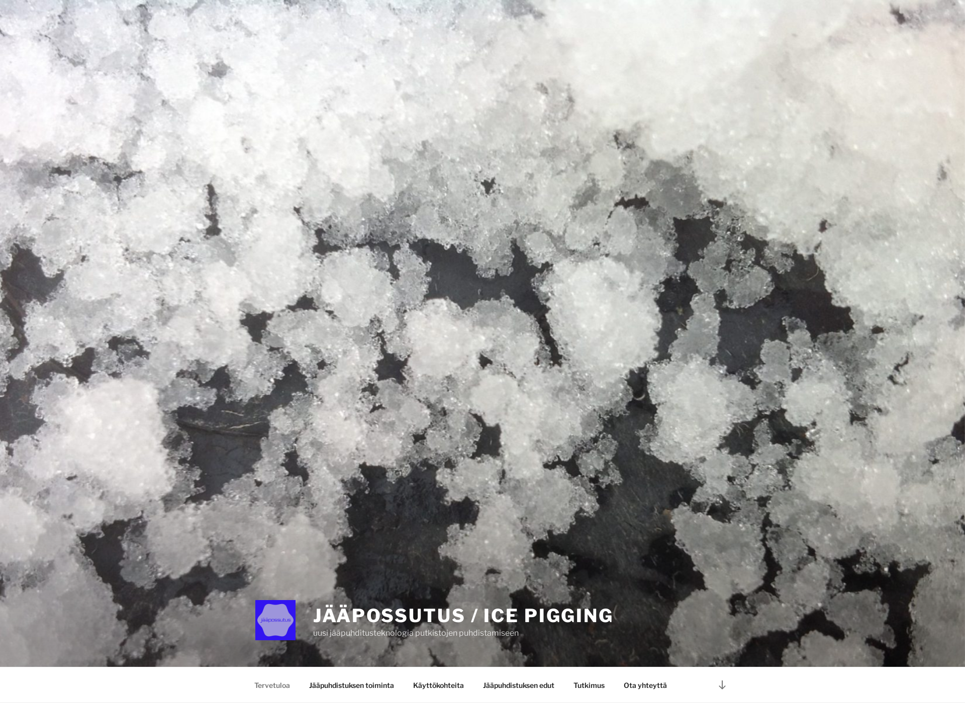 Screenshot for icepigging.fi