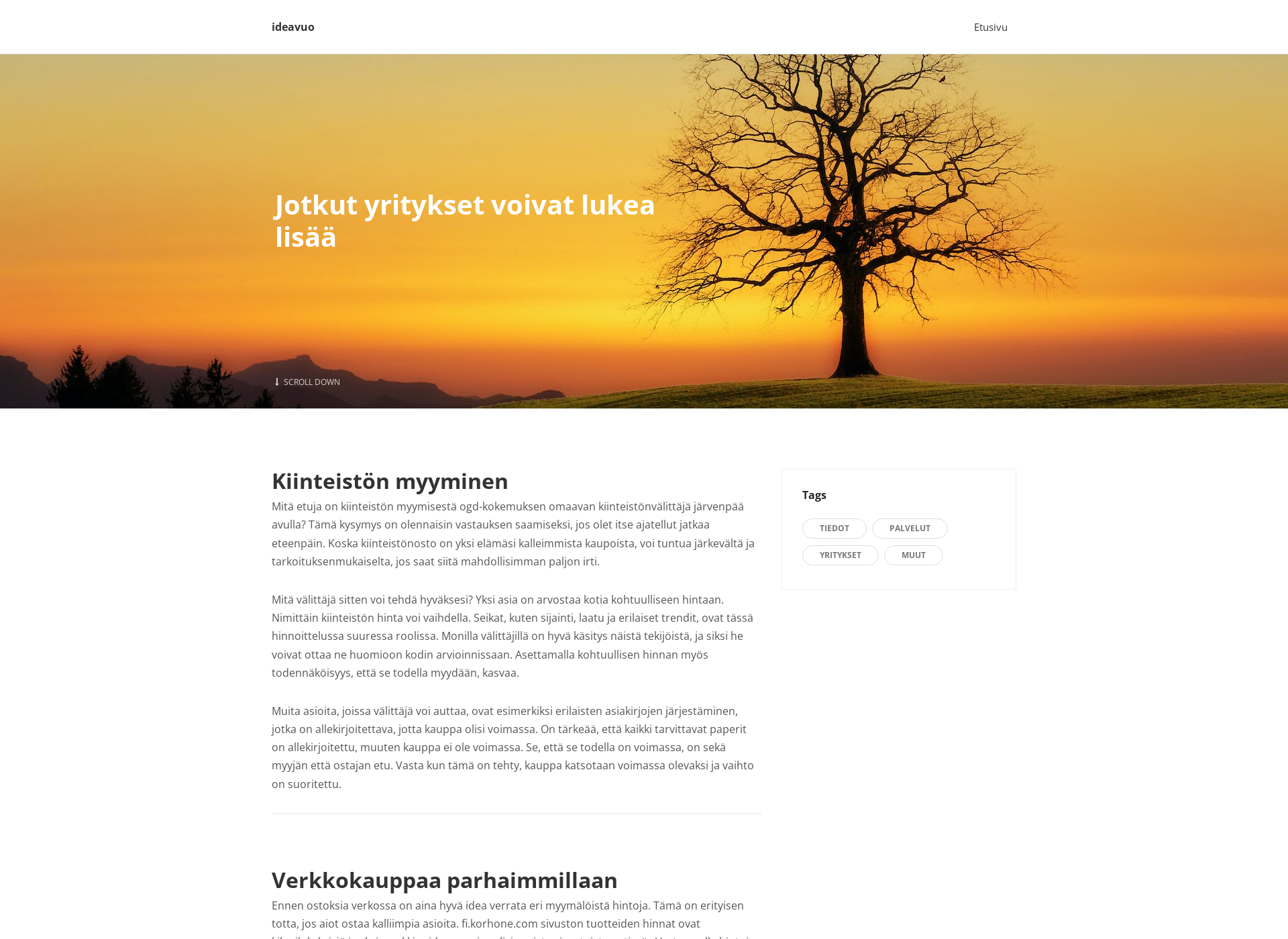 Skärmdump för ideavuo.fi