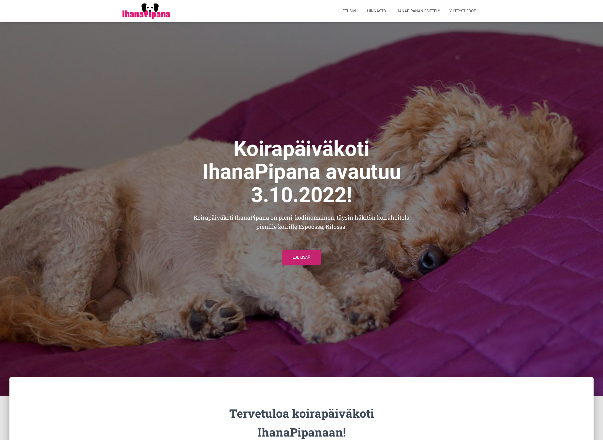 Screenshot for ihanapipana.fi