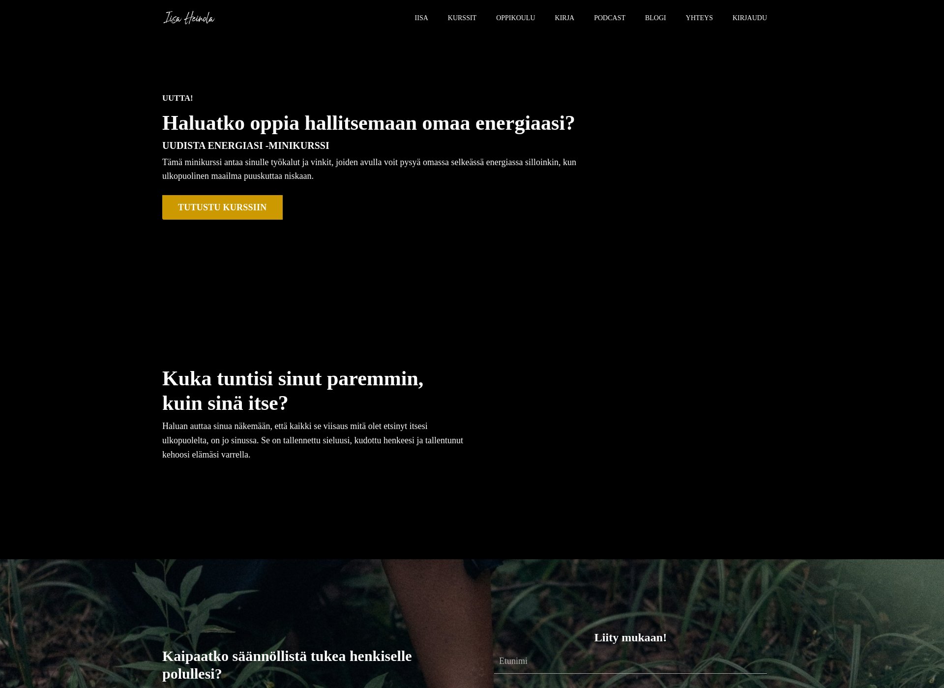 Screenshot for iisaheinola.fi