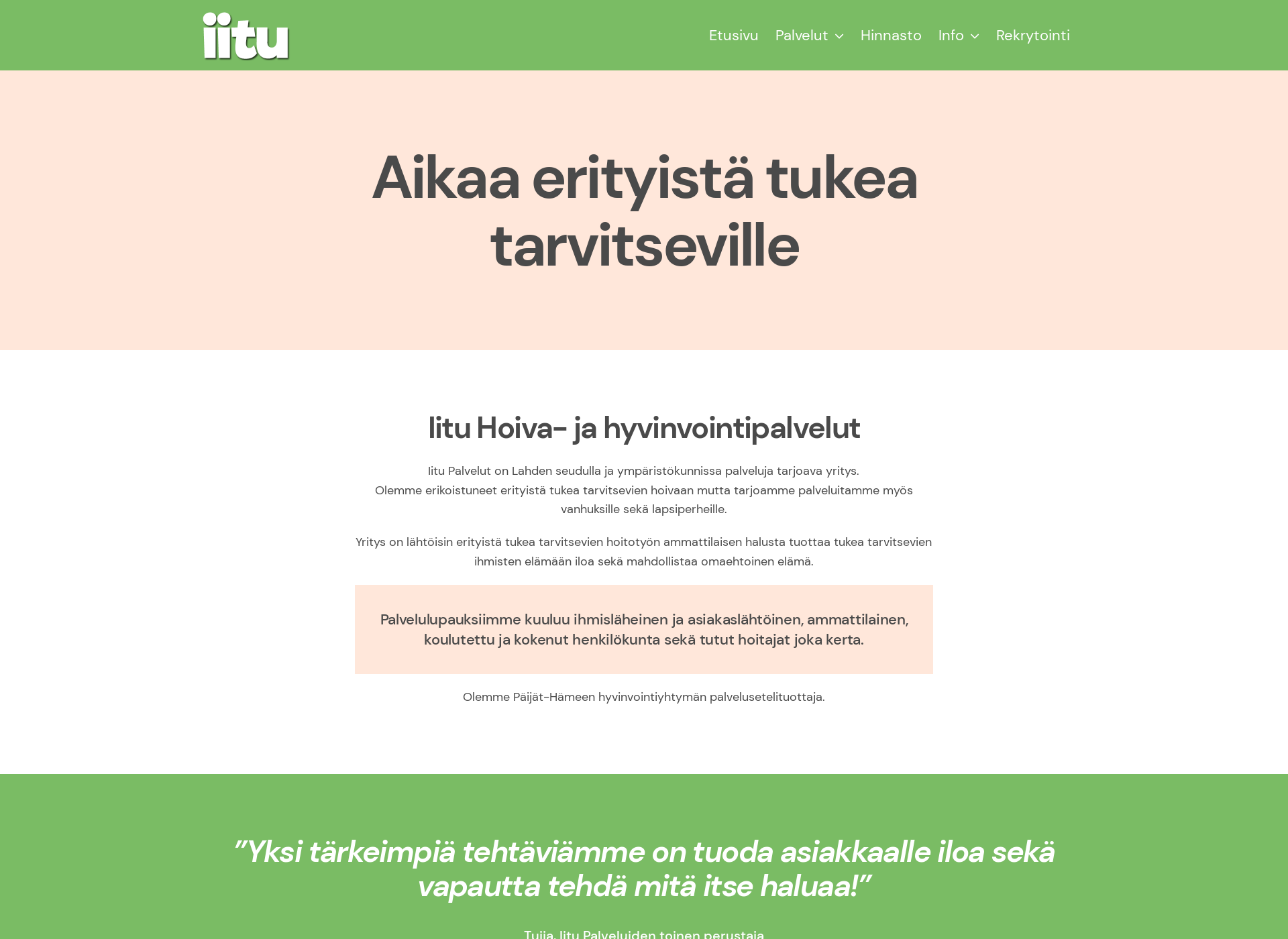 Screenshot for iitupalvelu.fi