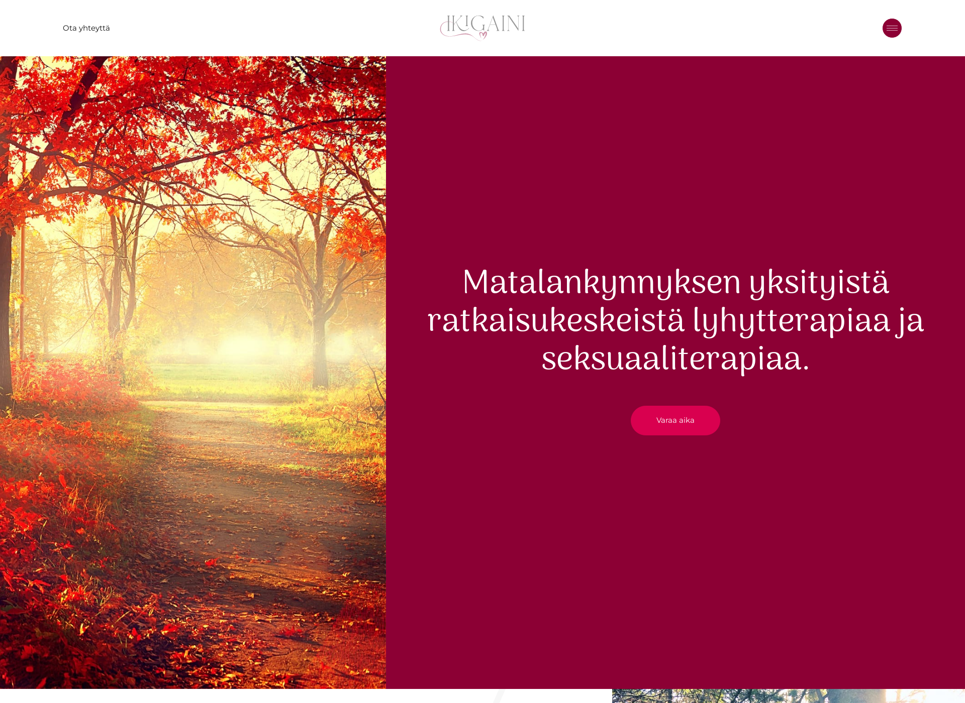 Skärmdump för ikigaini.fi