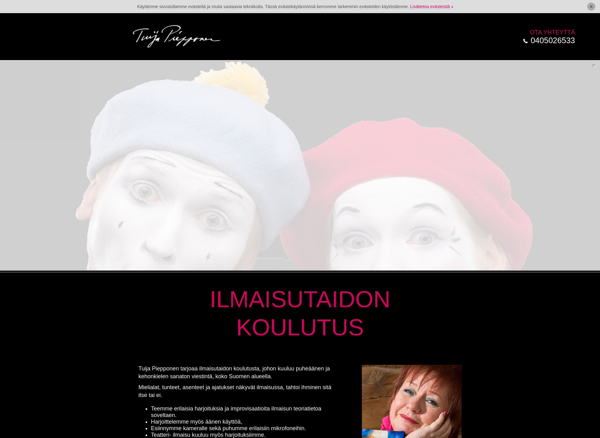 Screenshot for ilmaisutaidonkoulutus.fi