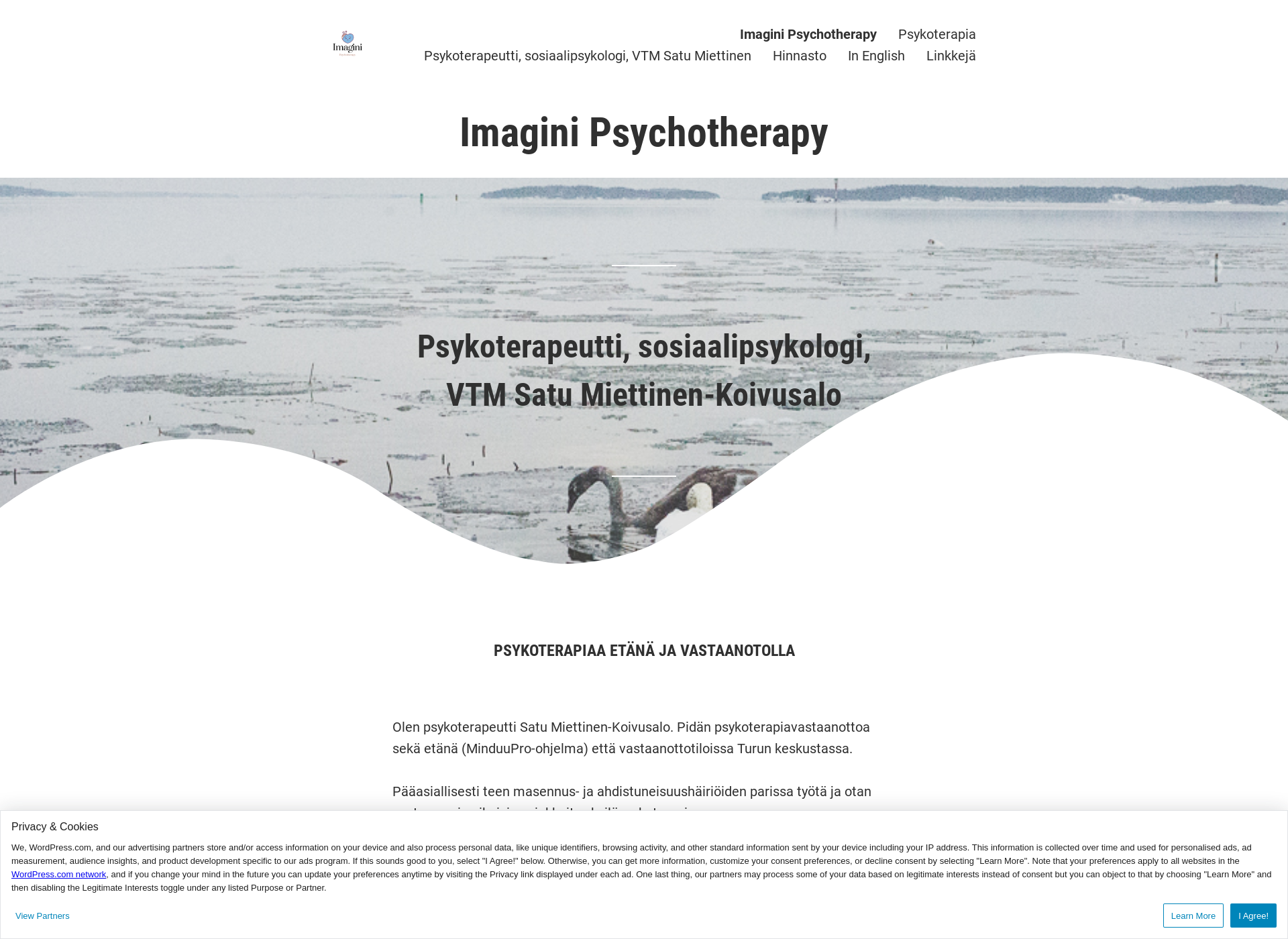 Screenshot for imagini-psychotherapy.fi