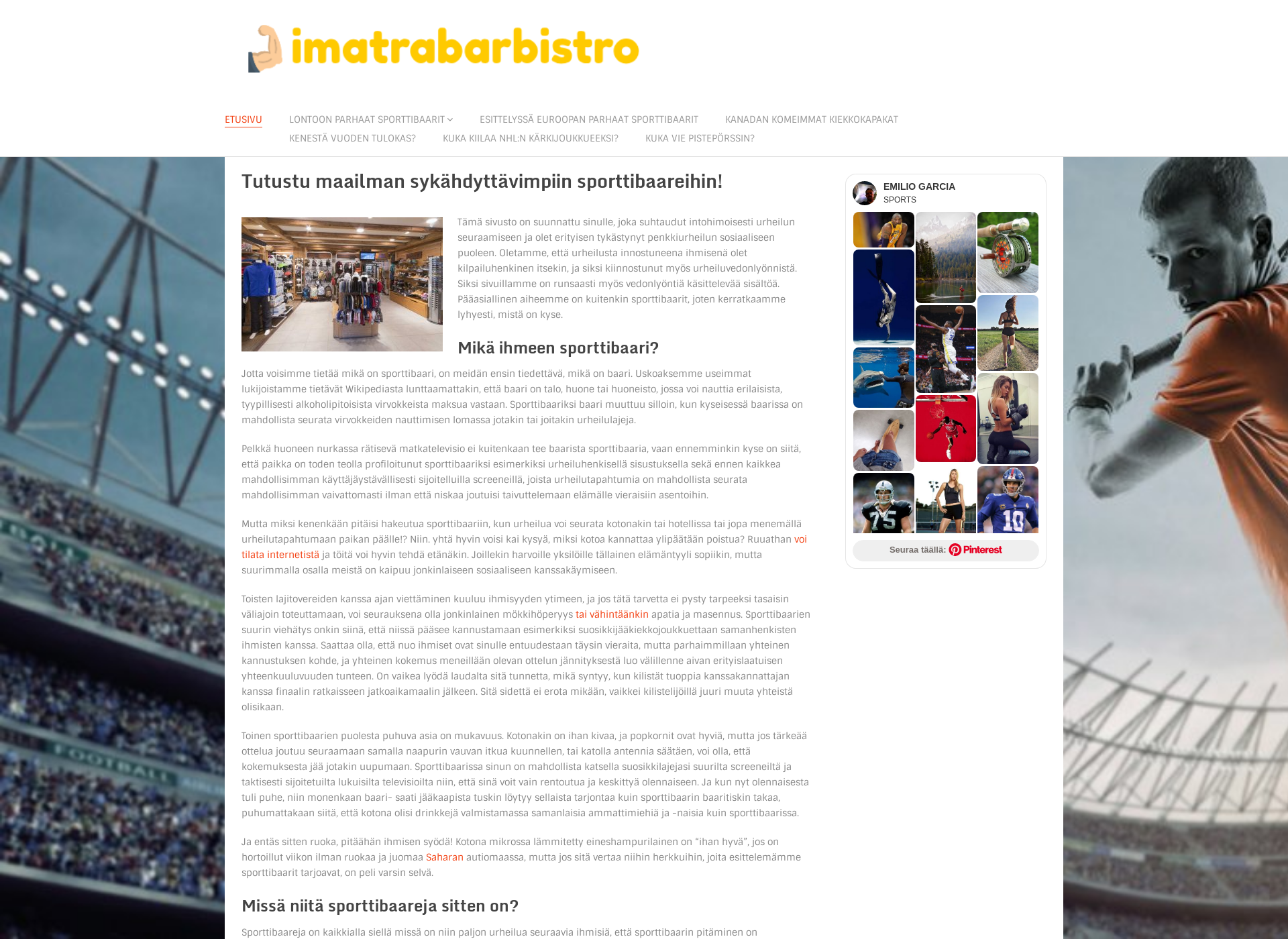 Screenshot for imatrabarbistro.fi