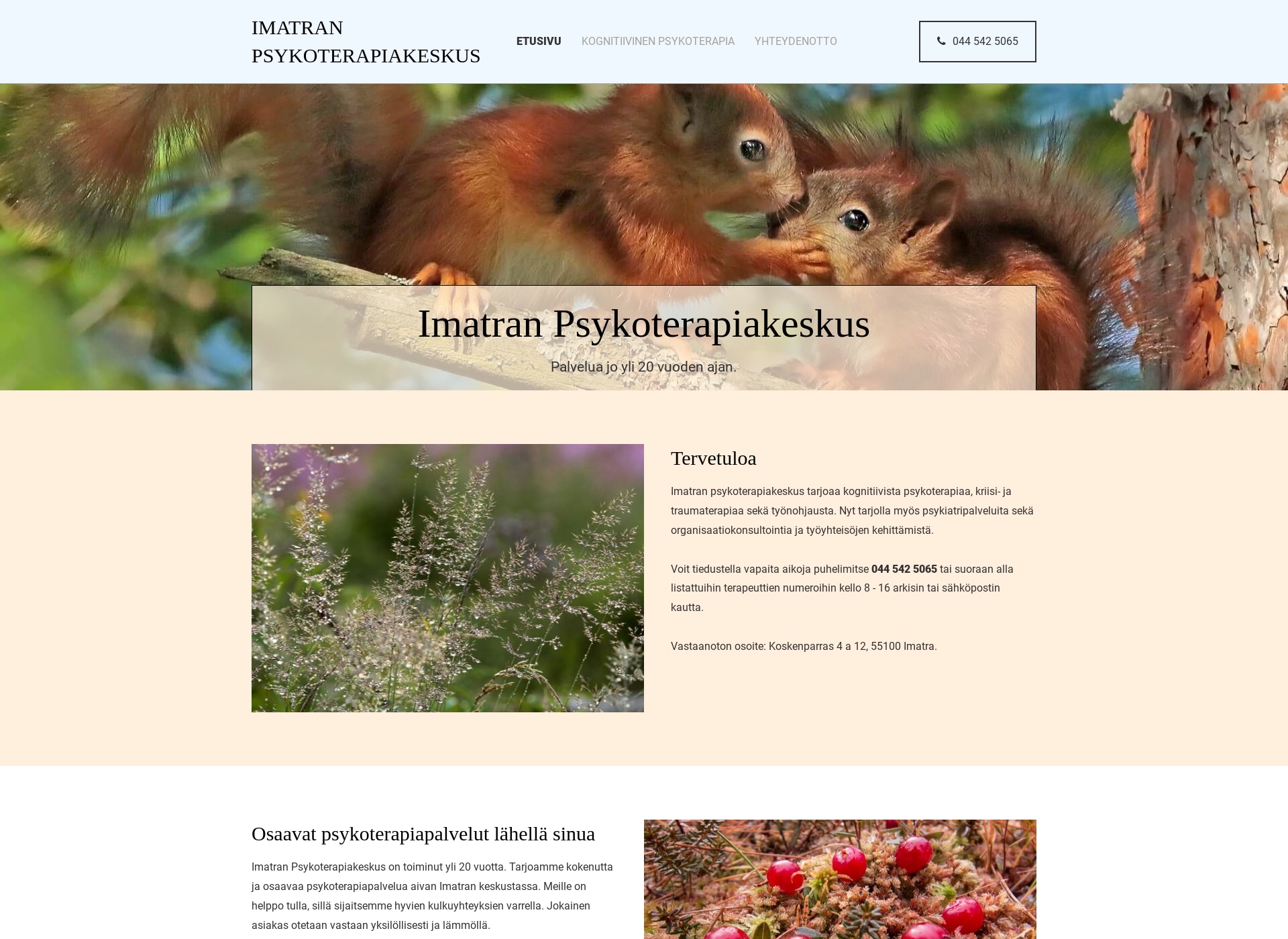 Screenshot for imatranpsykoterapiakeskus.fi