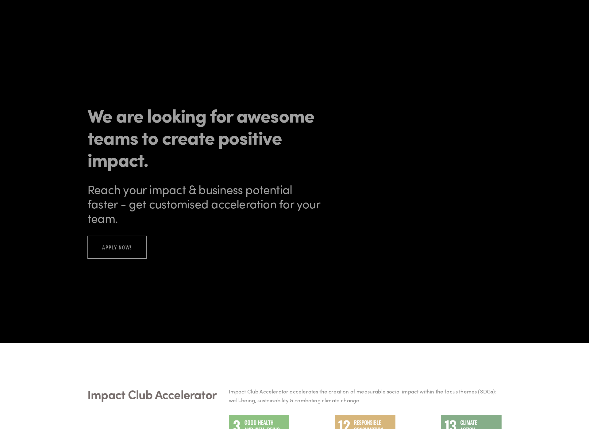 Screenshot for impactclub.fi