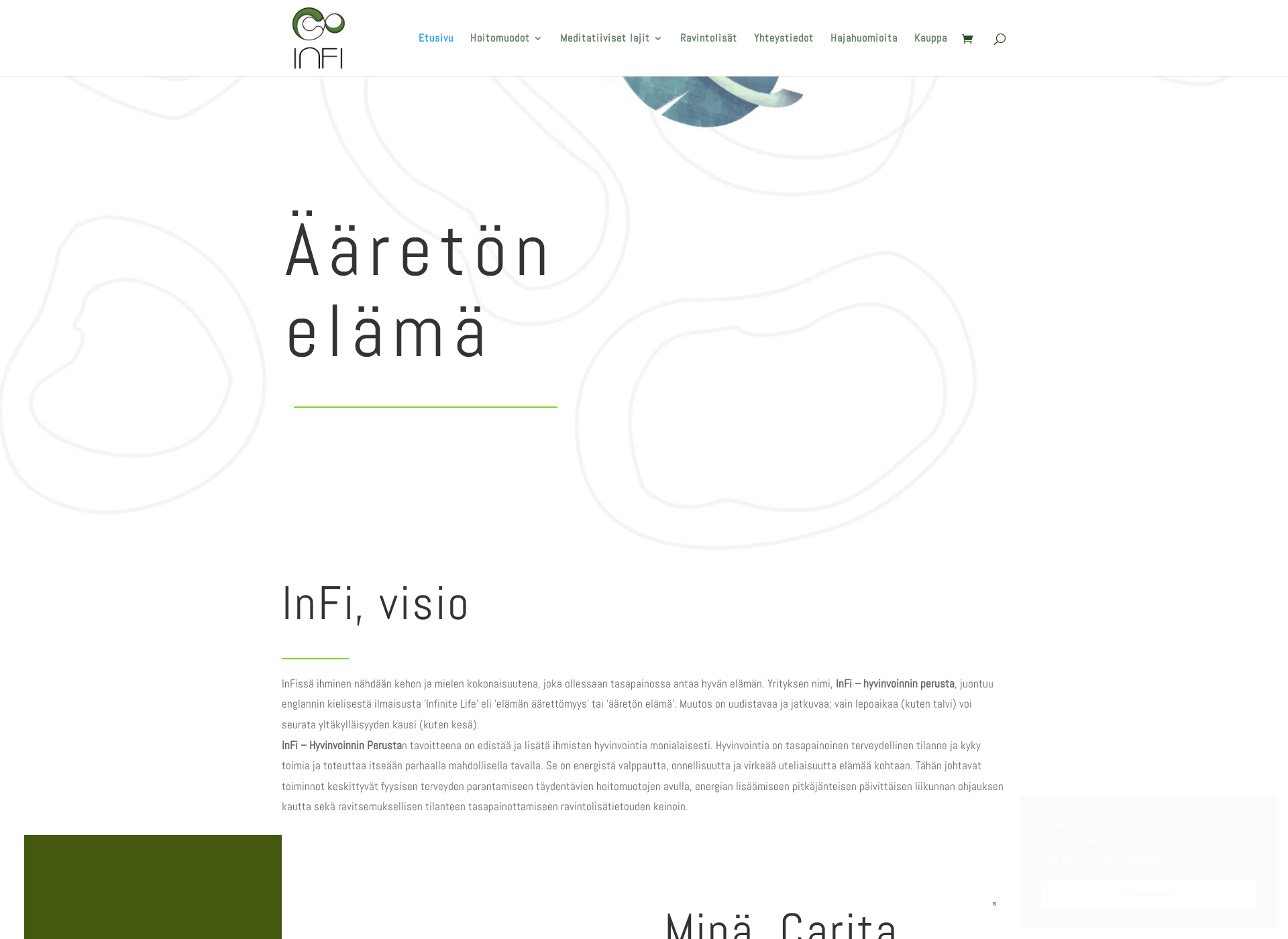 Skärmdump för infi.fi