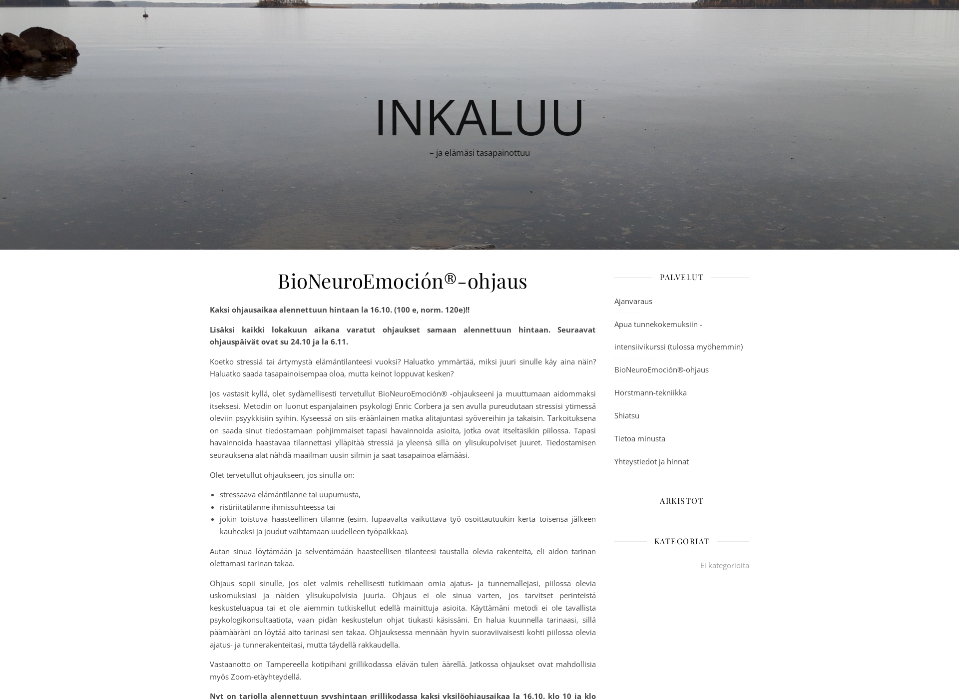 Screenshot for inkaluu.fi