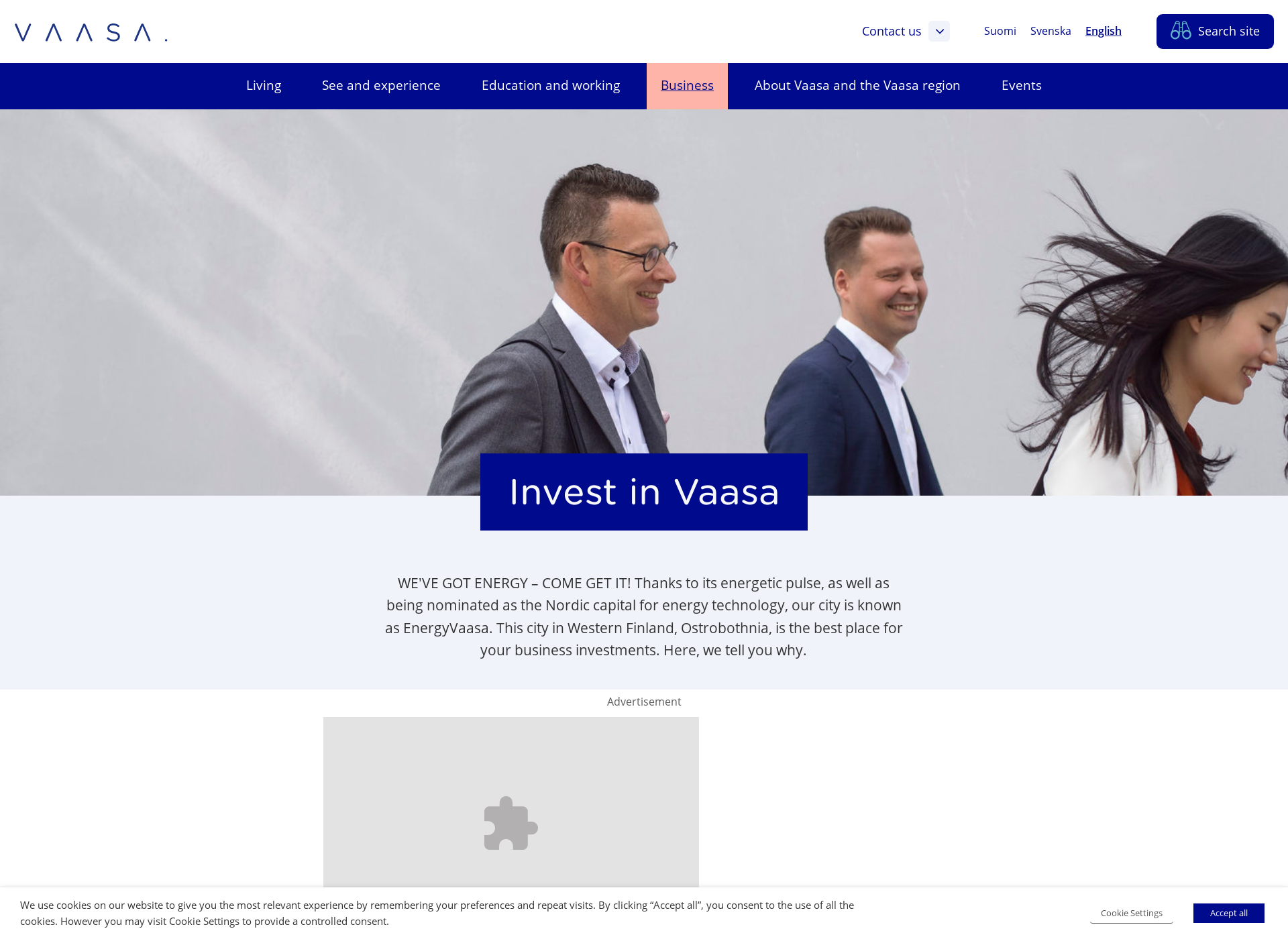 Screenshot for investinvaasa.fi