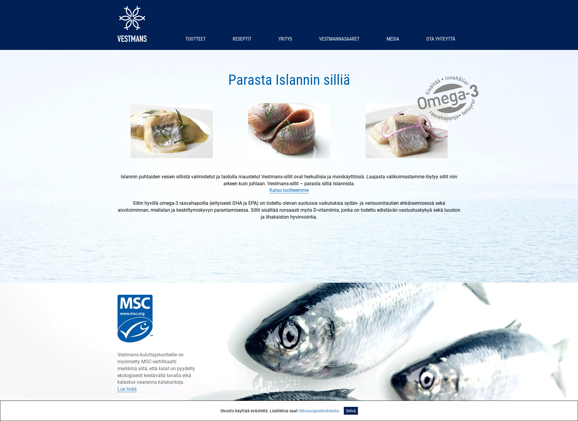 Screenshot for islanninsilli.fi