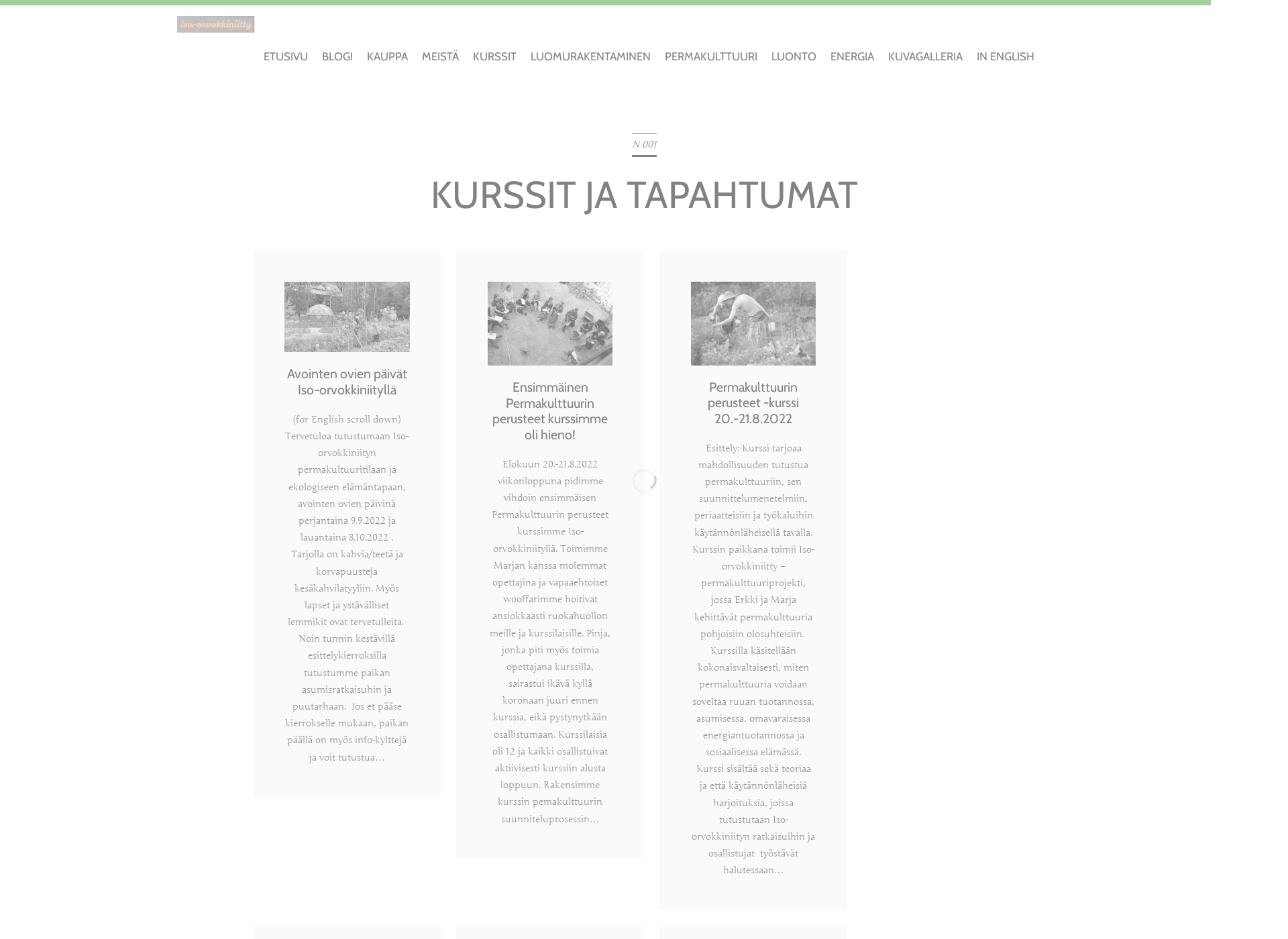 Skärmdump för iso-orvokkiniitty.fi