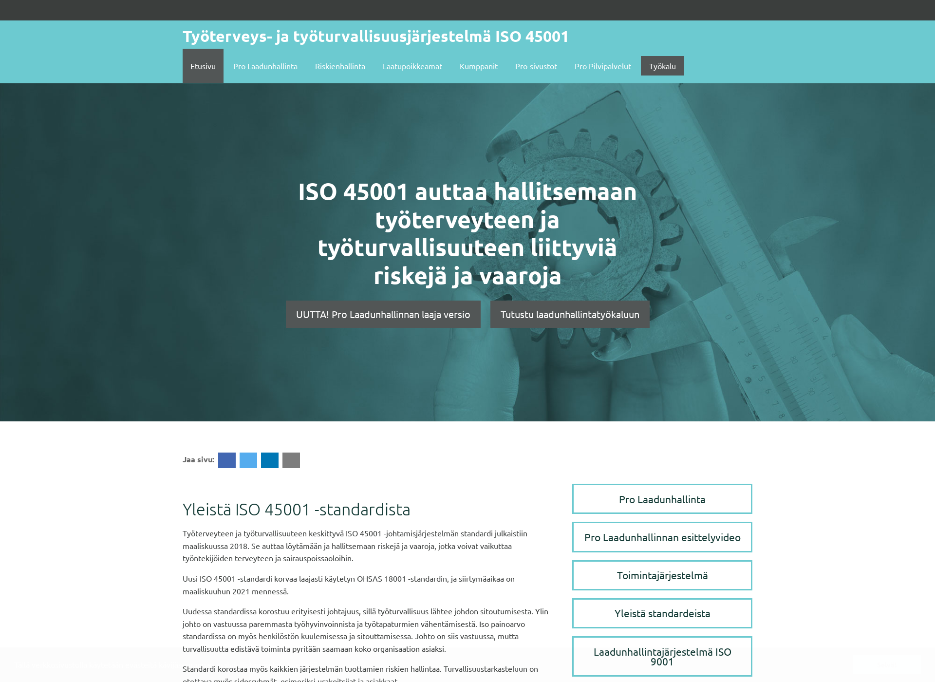 Skärmdump för iso45001.fi
