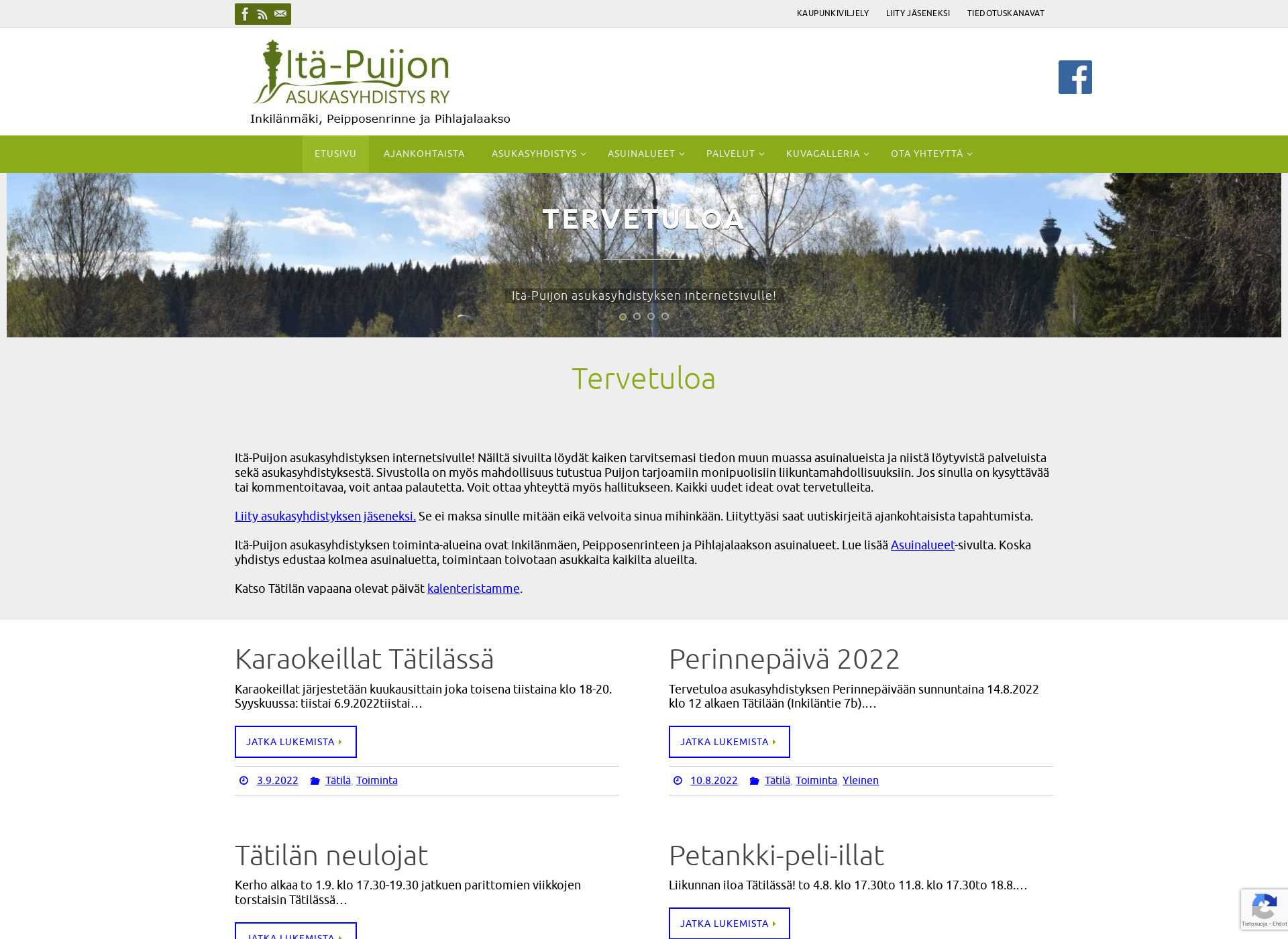 Screenshot for itapuijo.fi
