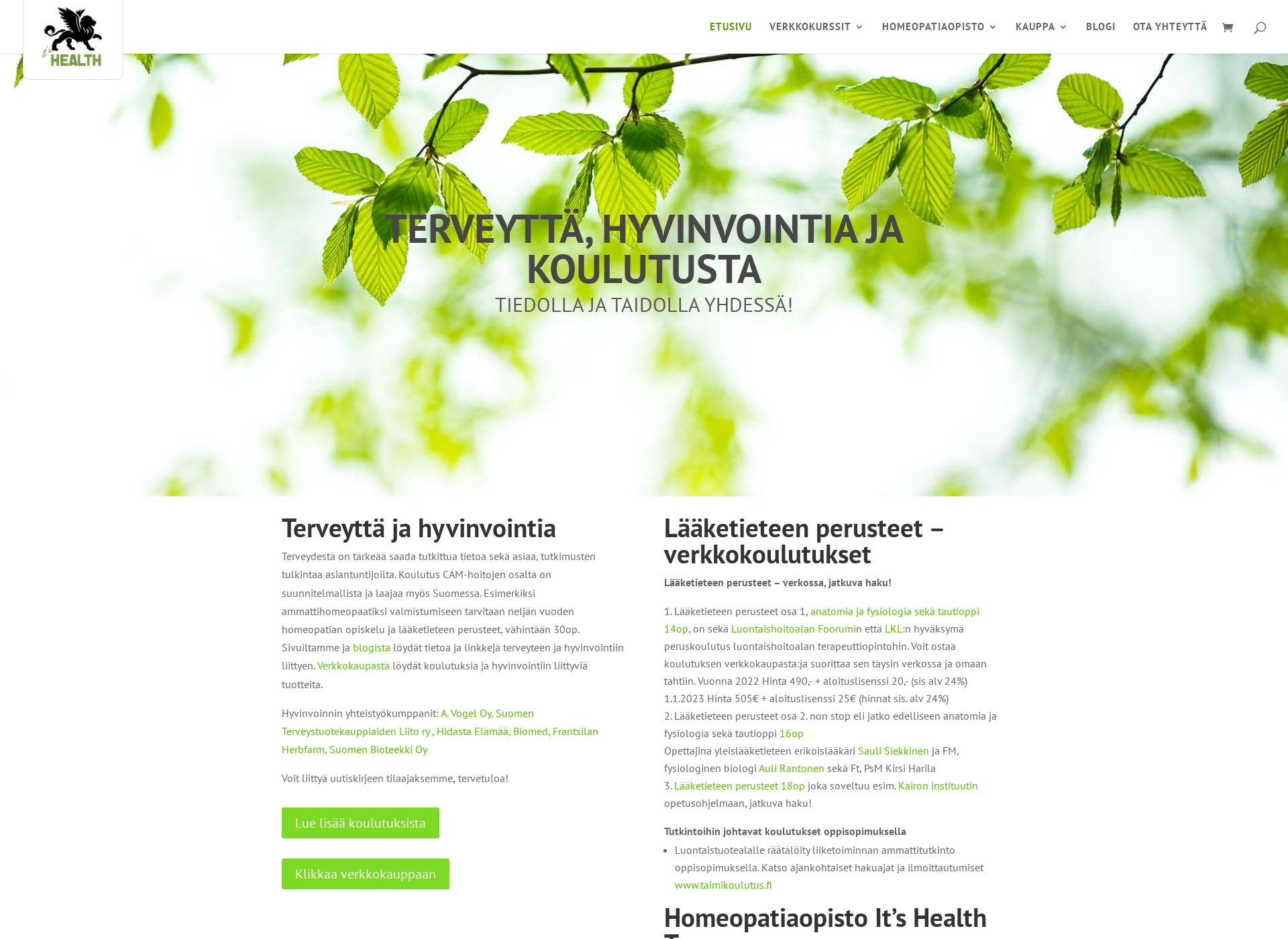 Skärmdump för itshealth.fi
