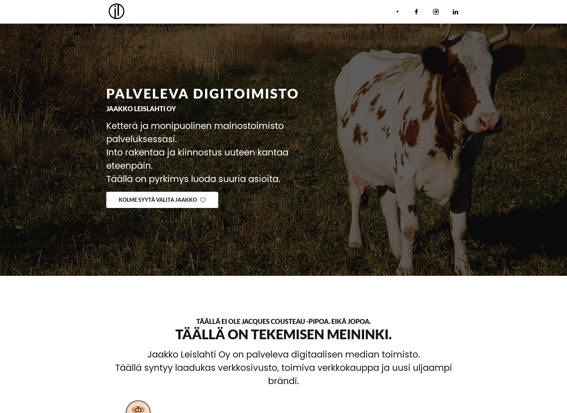 Skärmdump för jaakkoleislahti.fi