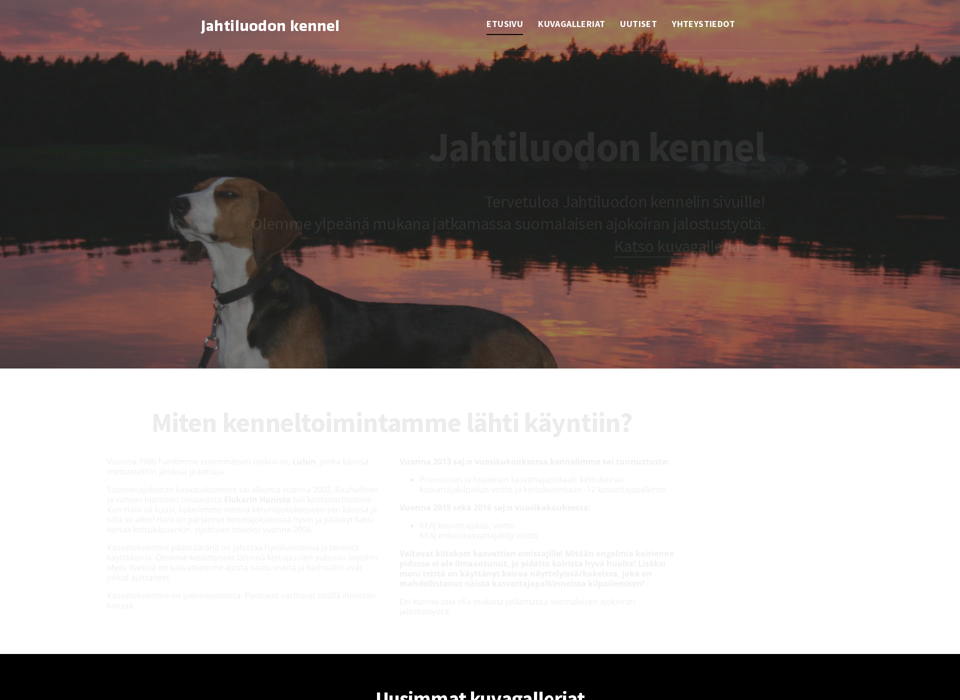 Skärmdump för jahtiluodonkennel.fi