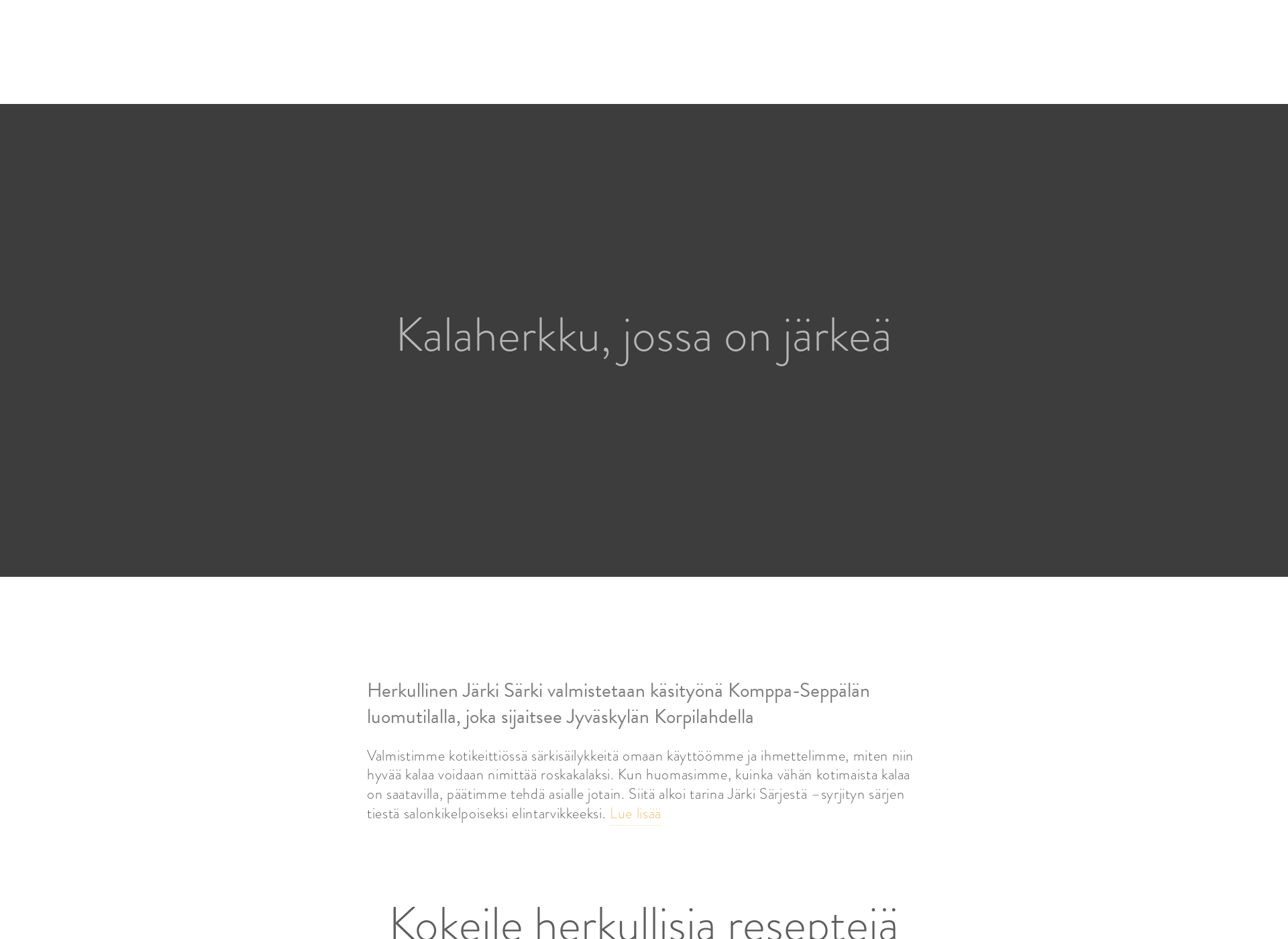 Screenshot for jarkisarki.fi
