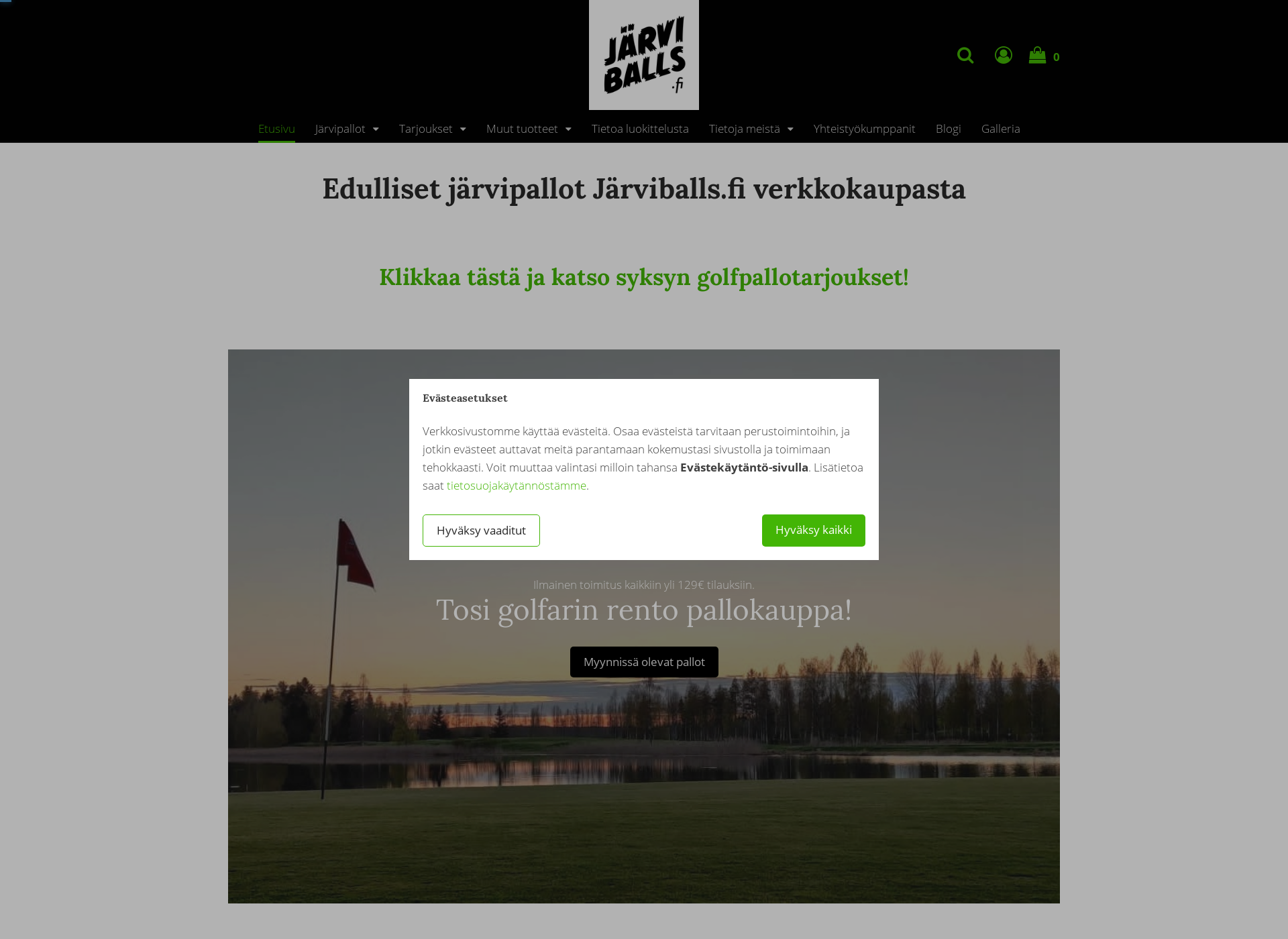 Skärmdump för jarviballs.fi