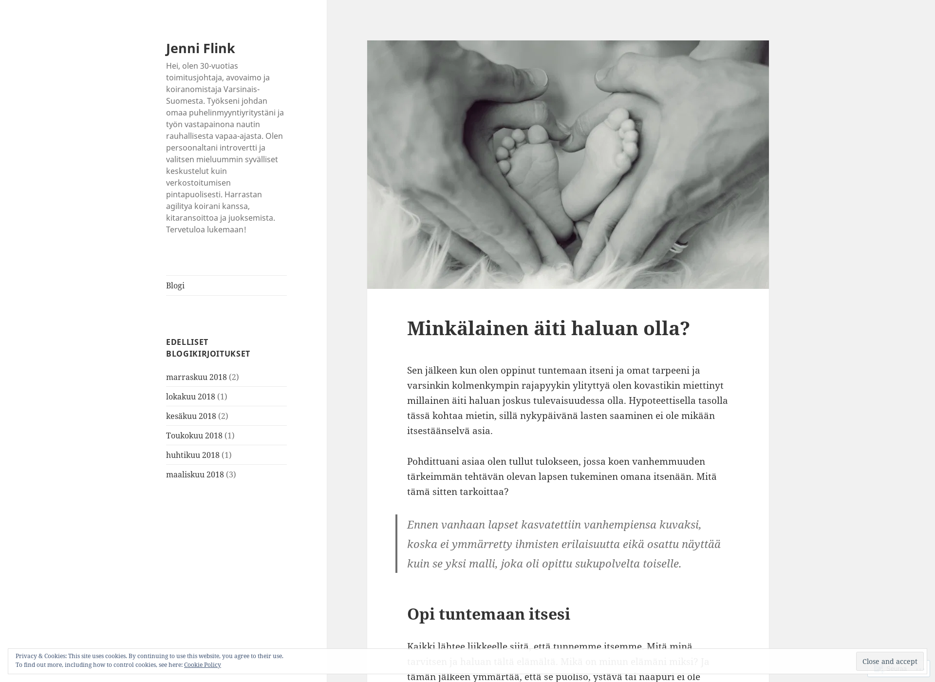 Skärmdump för jenniflink.fi