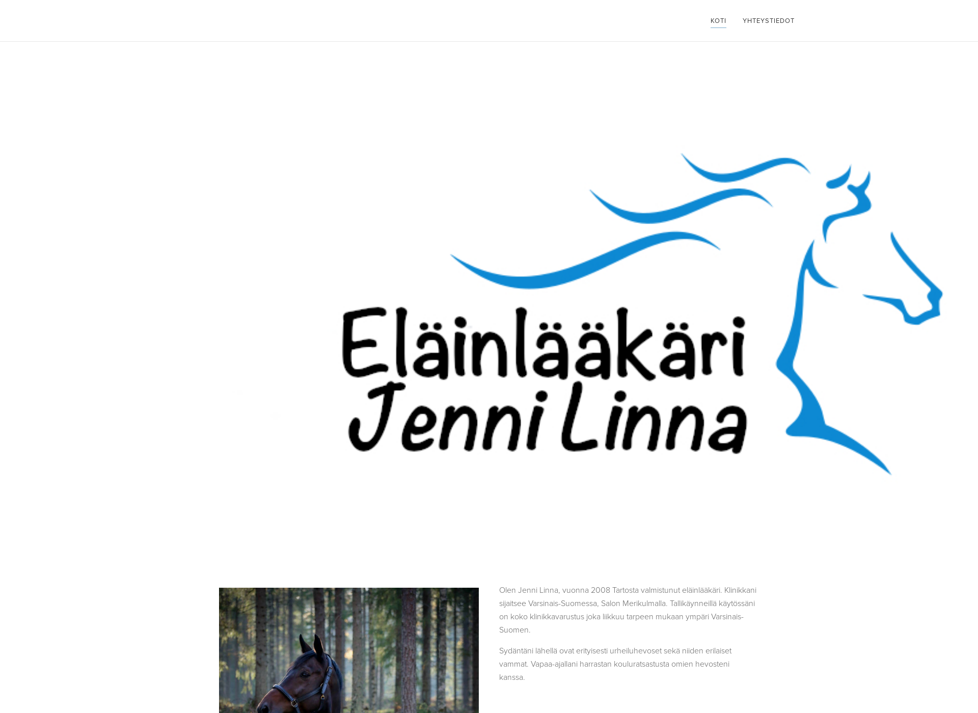 Skärmdump för jennilinna.fi