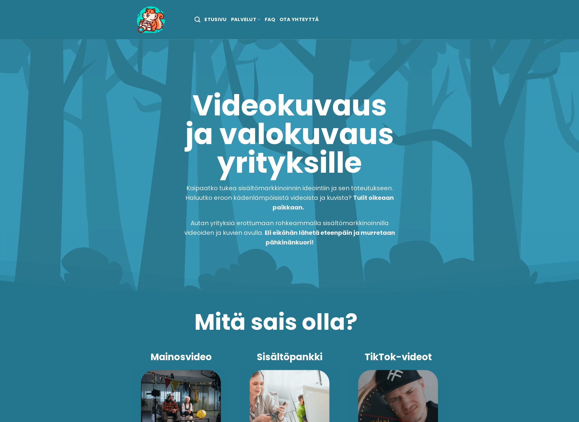 Skärmdump för jerejulius.fi