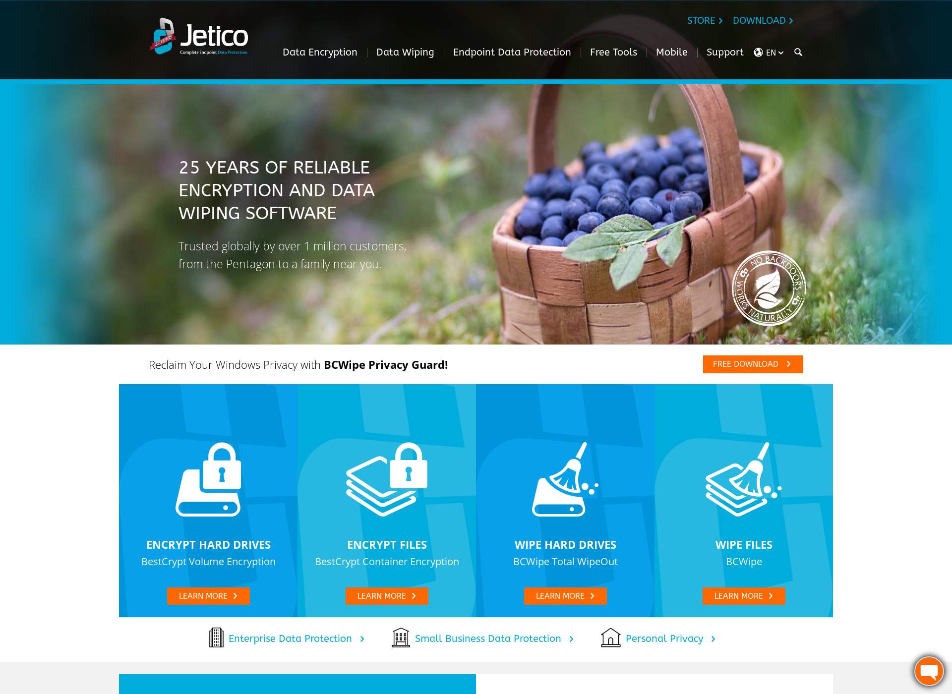 Screenshot for jetico.com