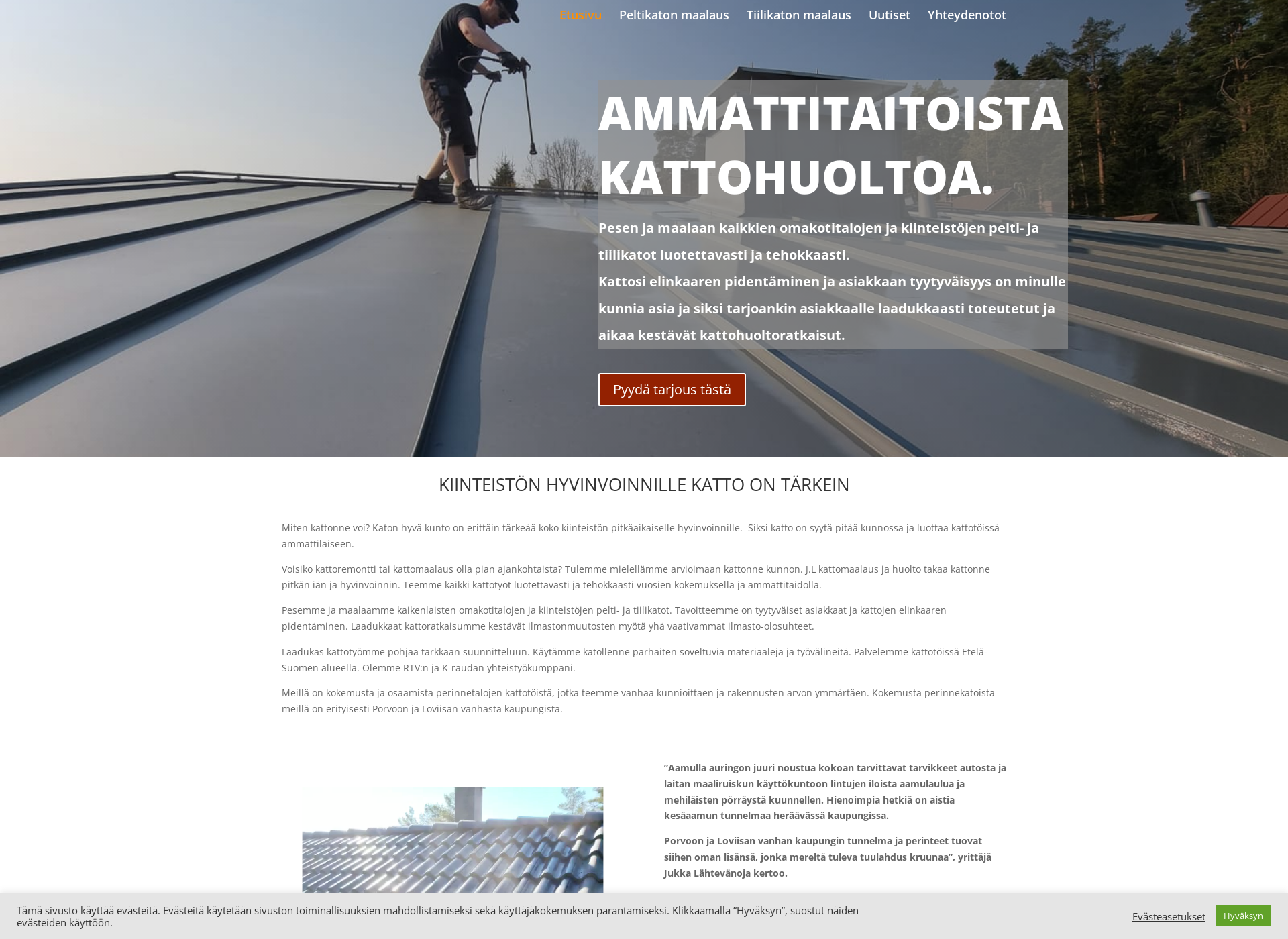 Screenshot for jlkattomaalaus.fi