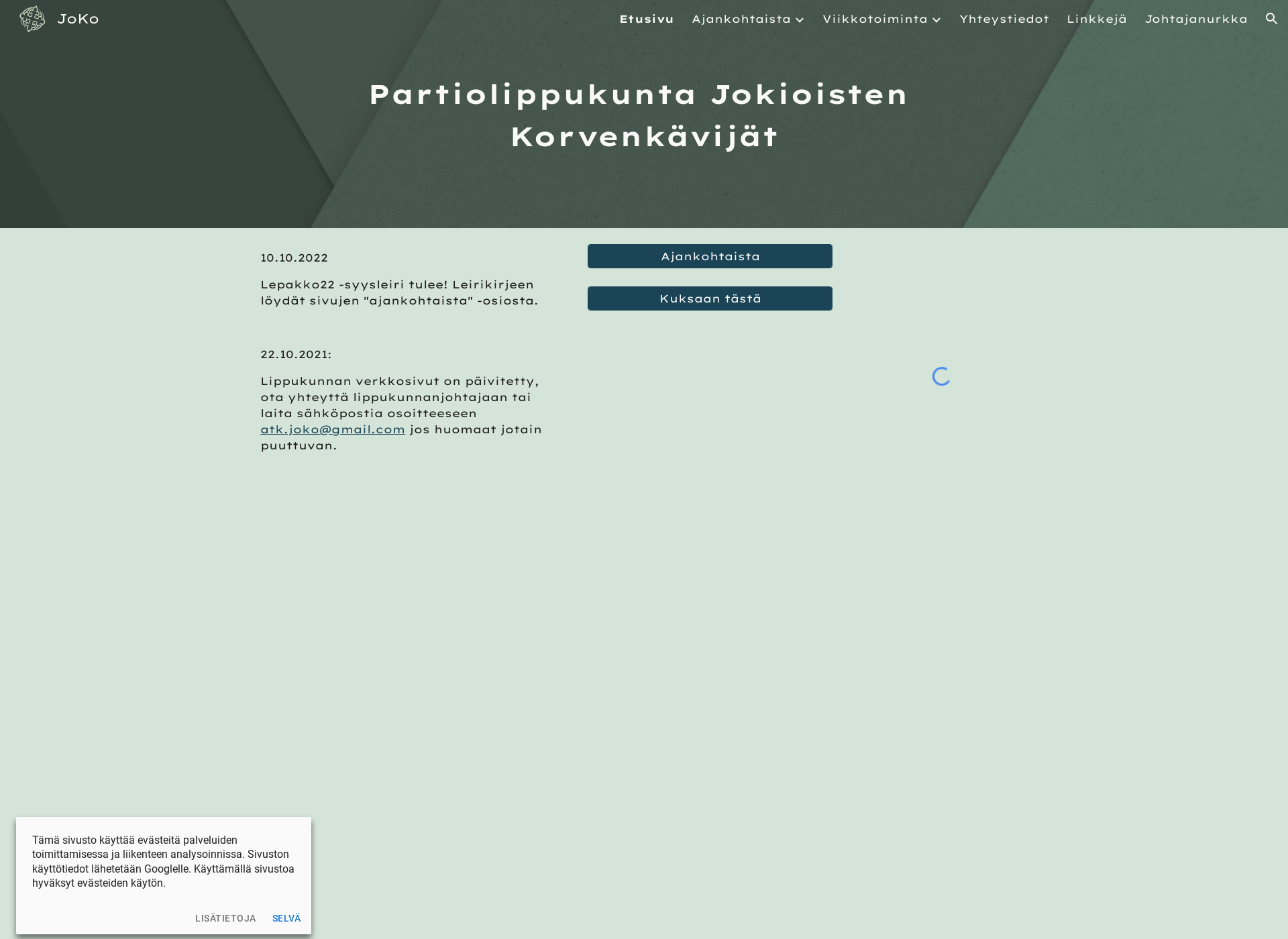 Skärmdump för jo-ko.fi