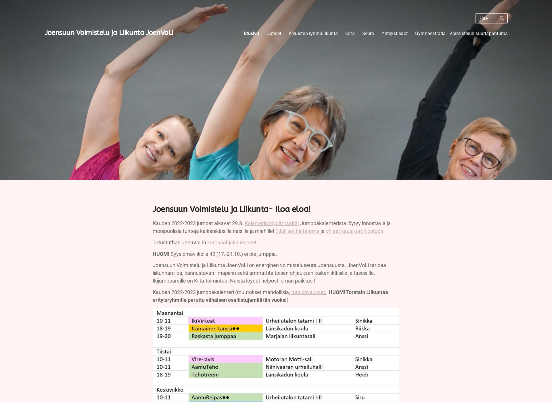 Screenshot for joenvoli.fi