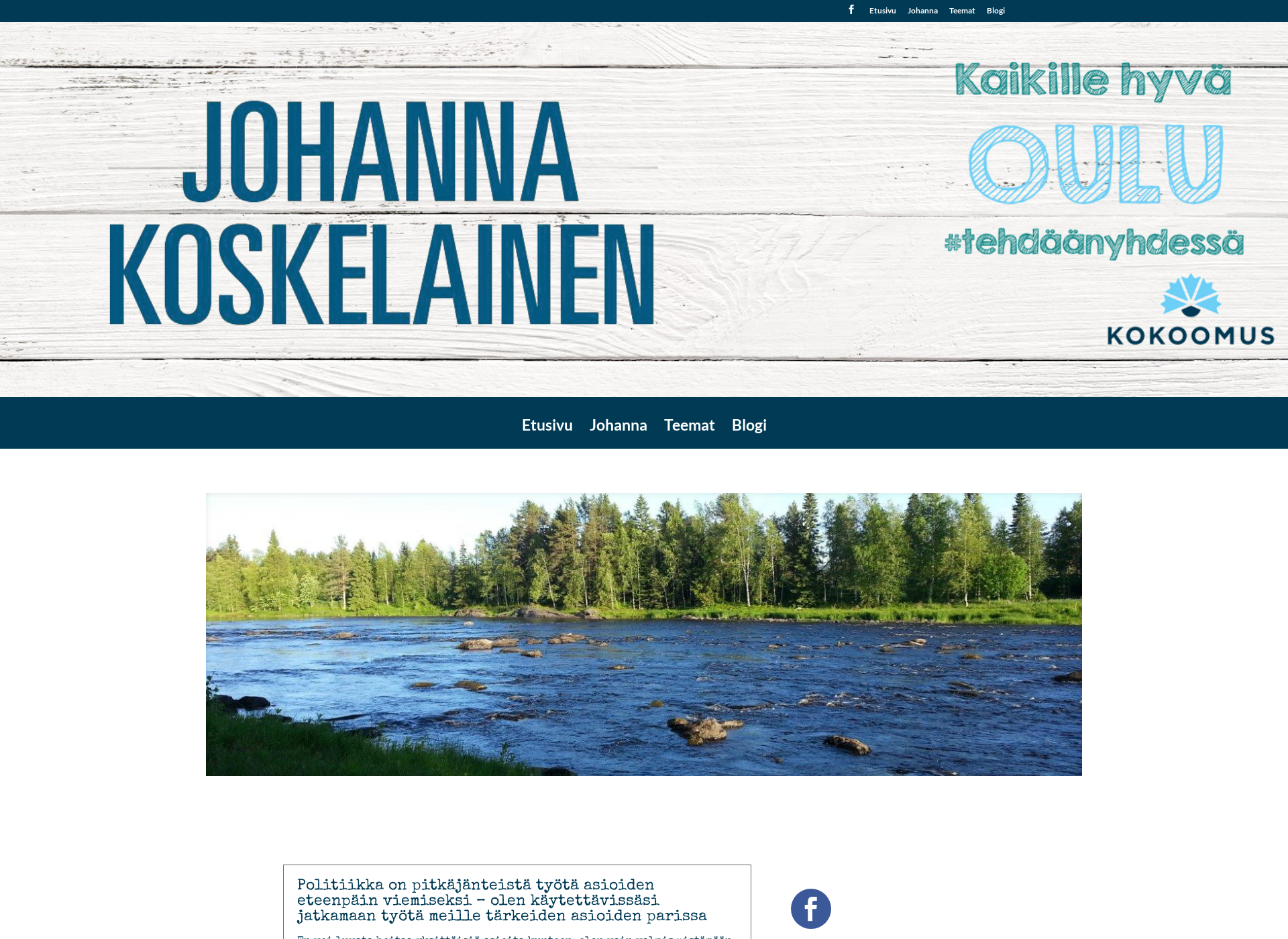 Screenshot for johannakoskelainen.fi