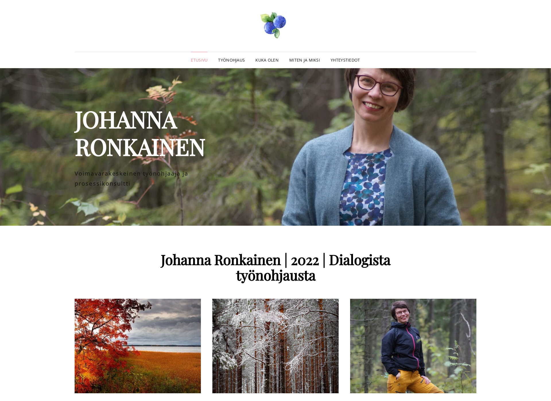 Screenshot for johannaronkainen.fi