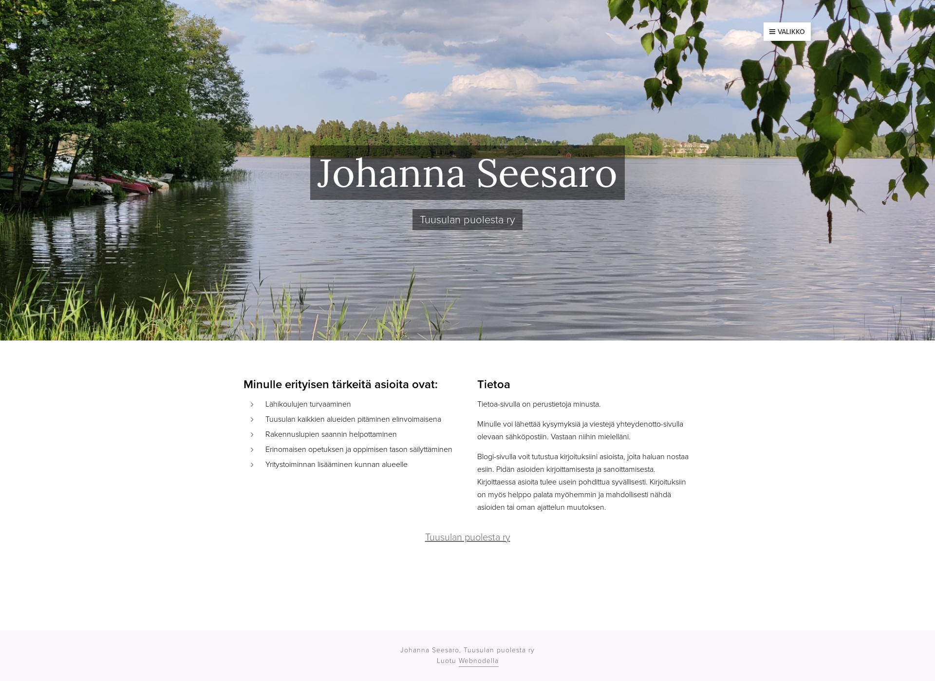 Screenshot for johannaseesaro.fi