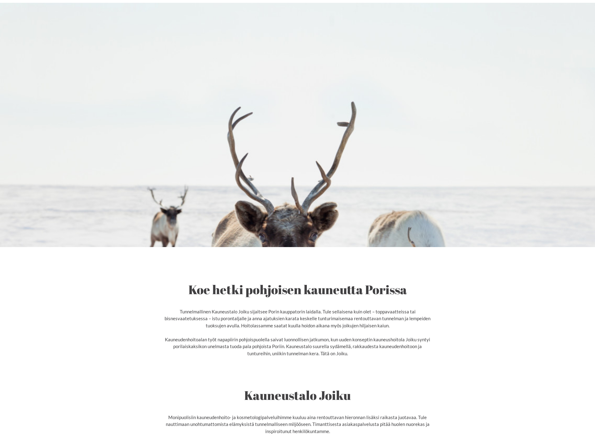 Skärmdump för joikupori.fi