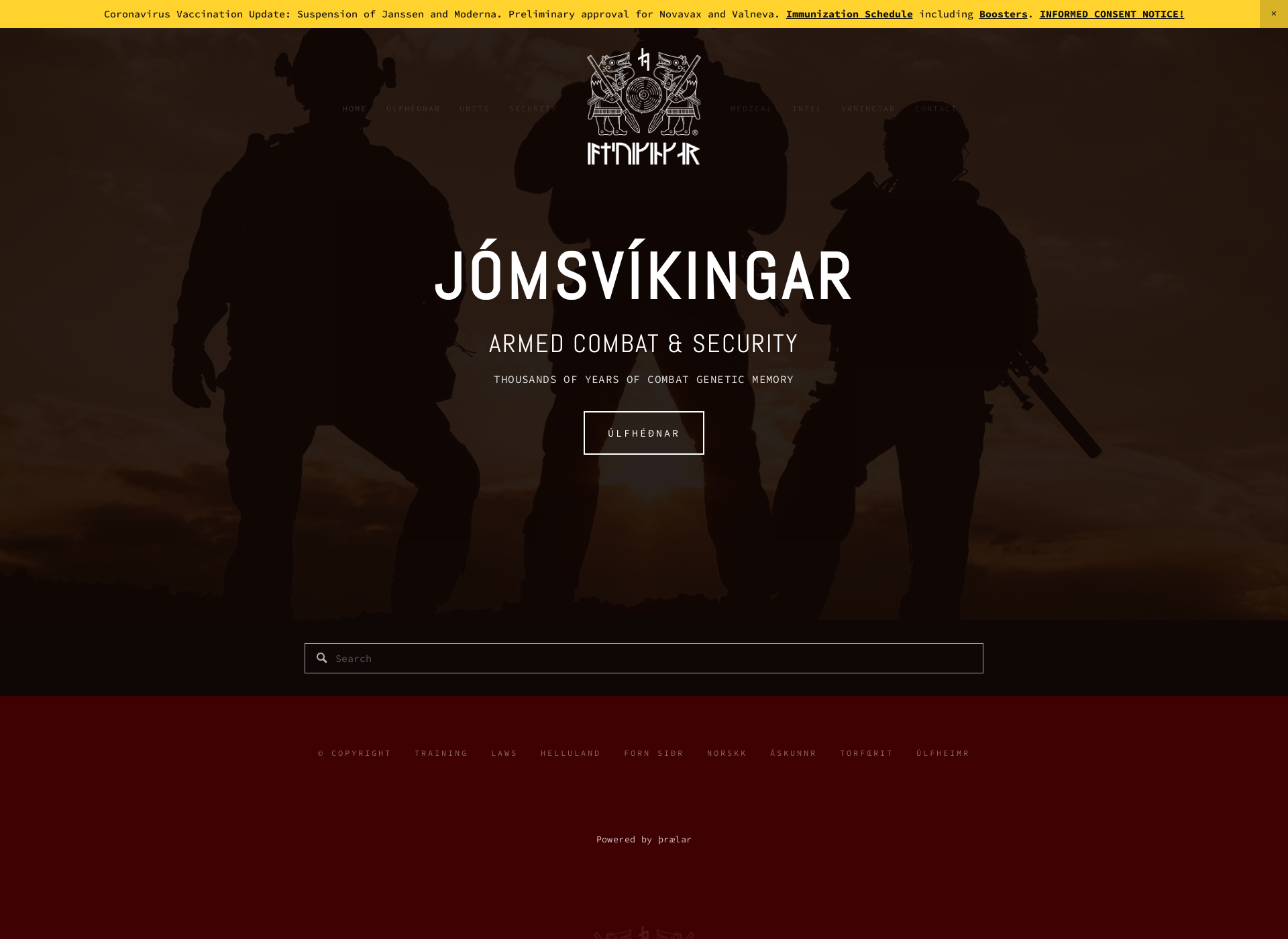 Screenshot for jomsvikingar.fi