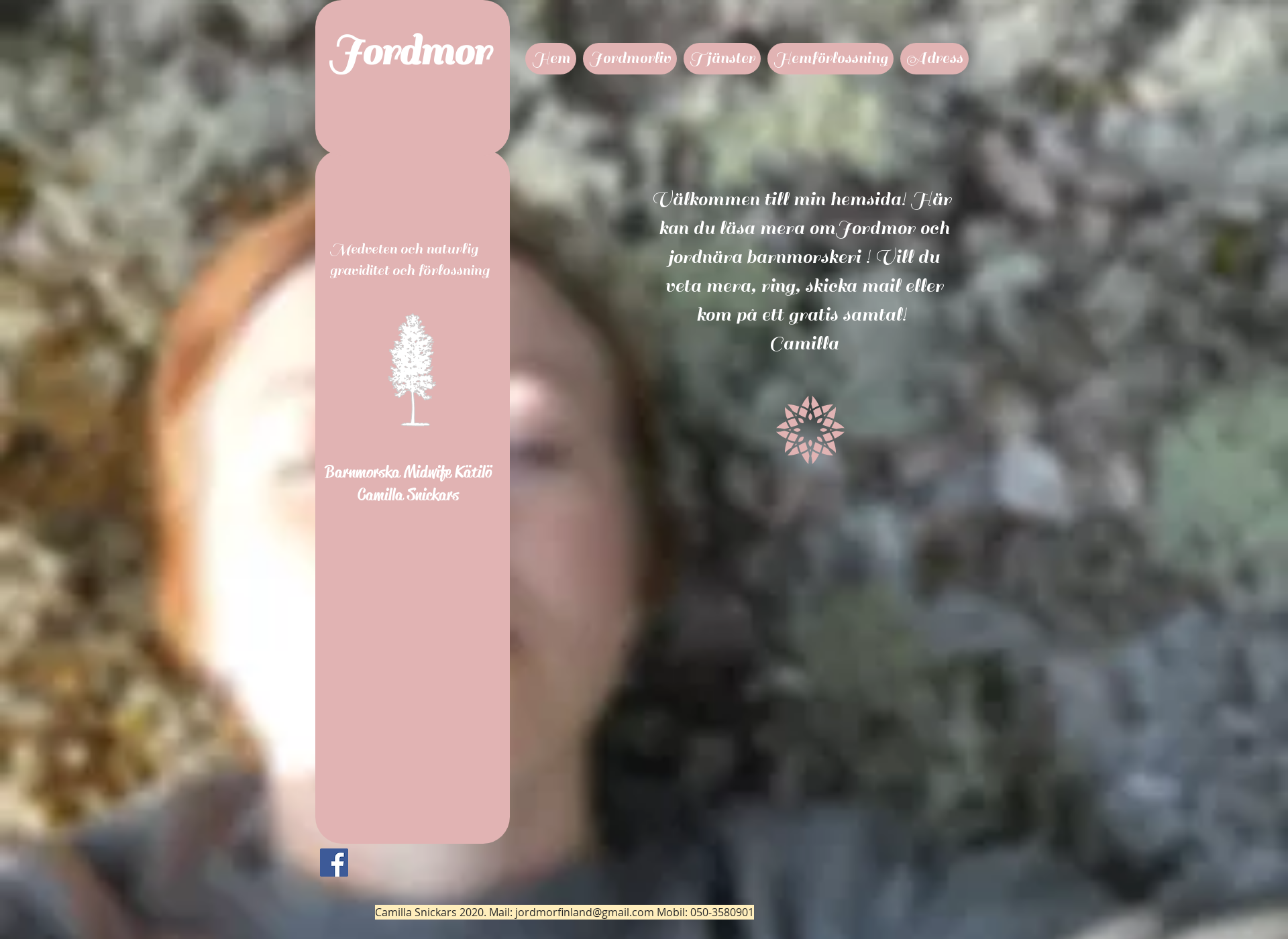 Screenshot for jordmor.fi