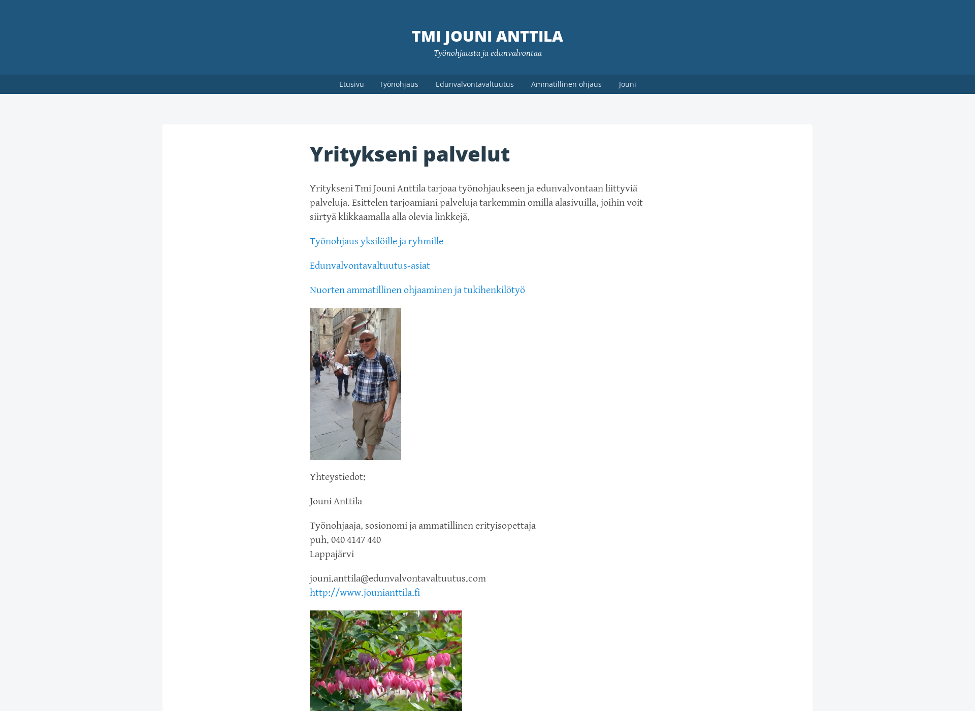 Screenshot for jounianttila.fi