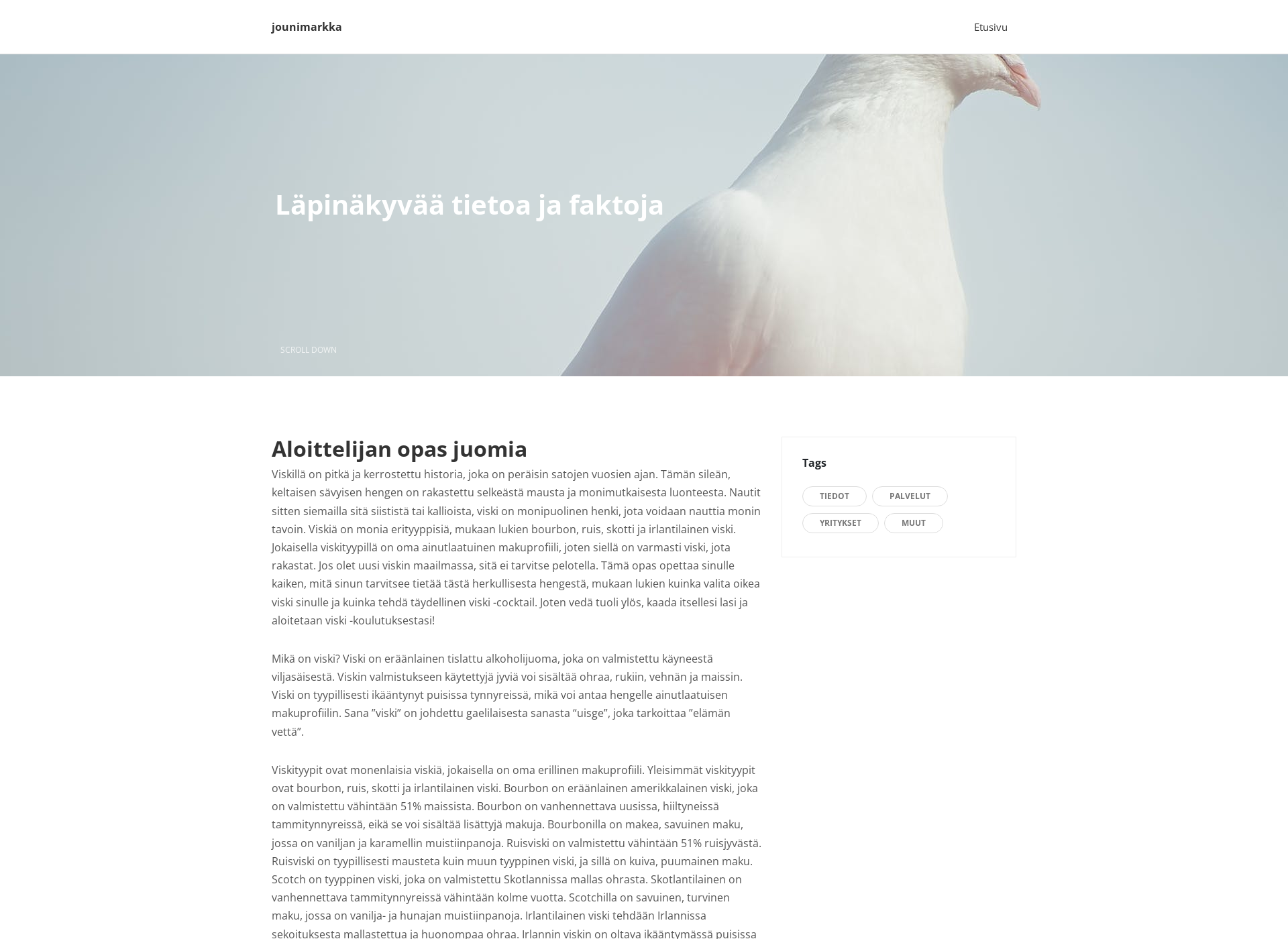 Skärmdump för jounimarkkanen.fi