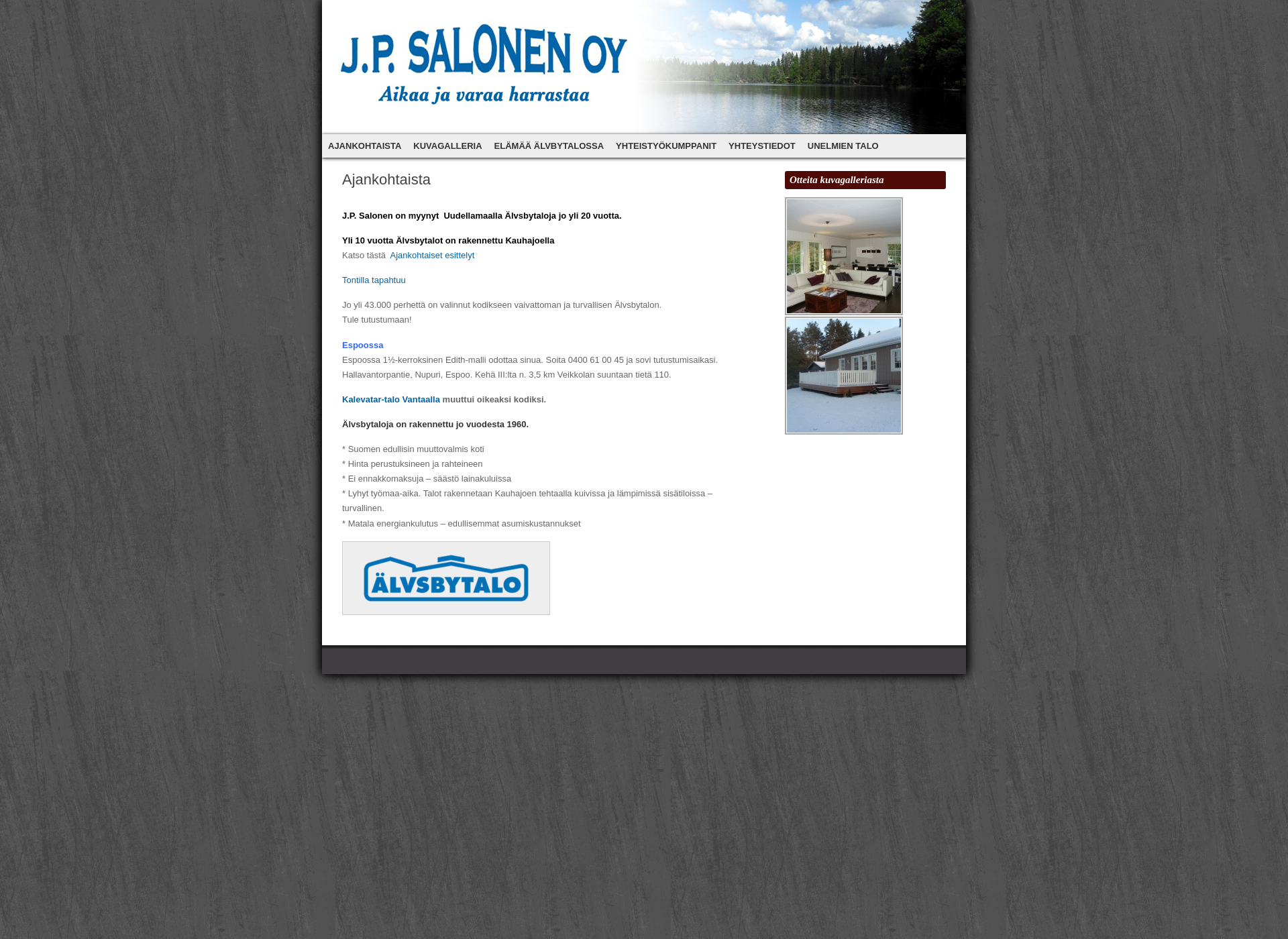 Screenshot for jpsalonen.fi