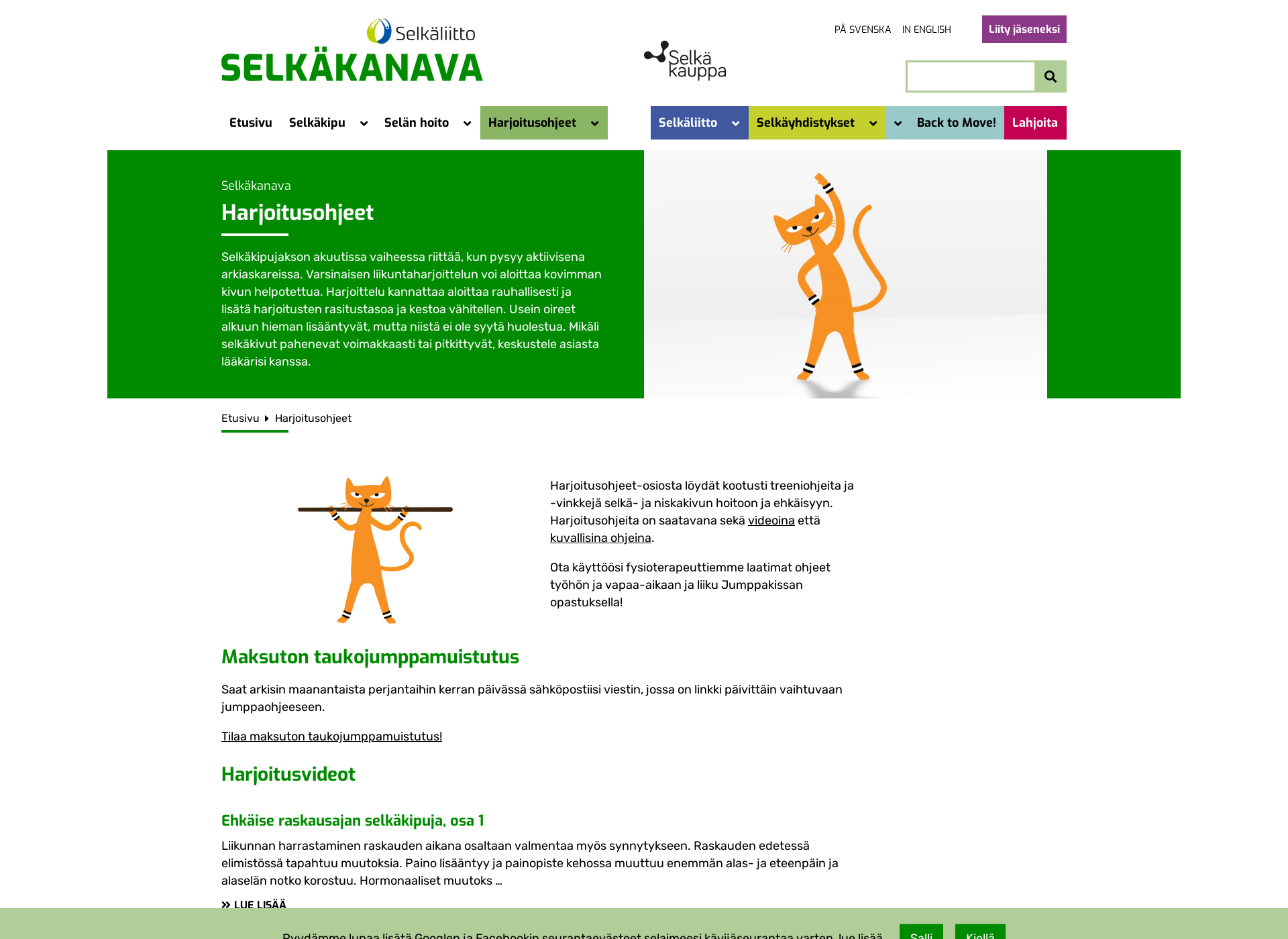 Screenshot for jumppakissa.fi