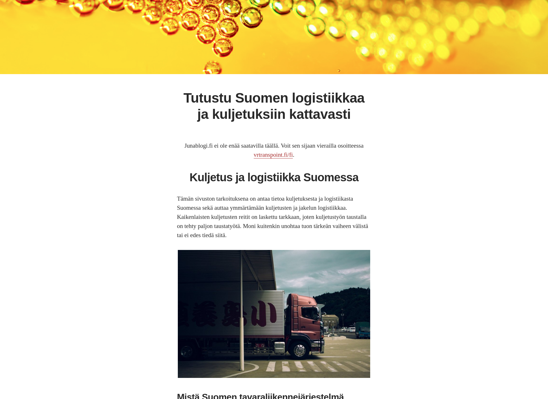 Screenshot for junablogi.fi