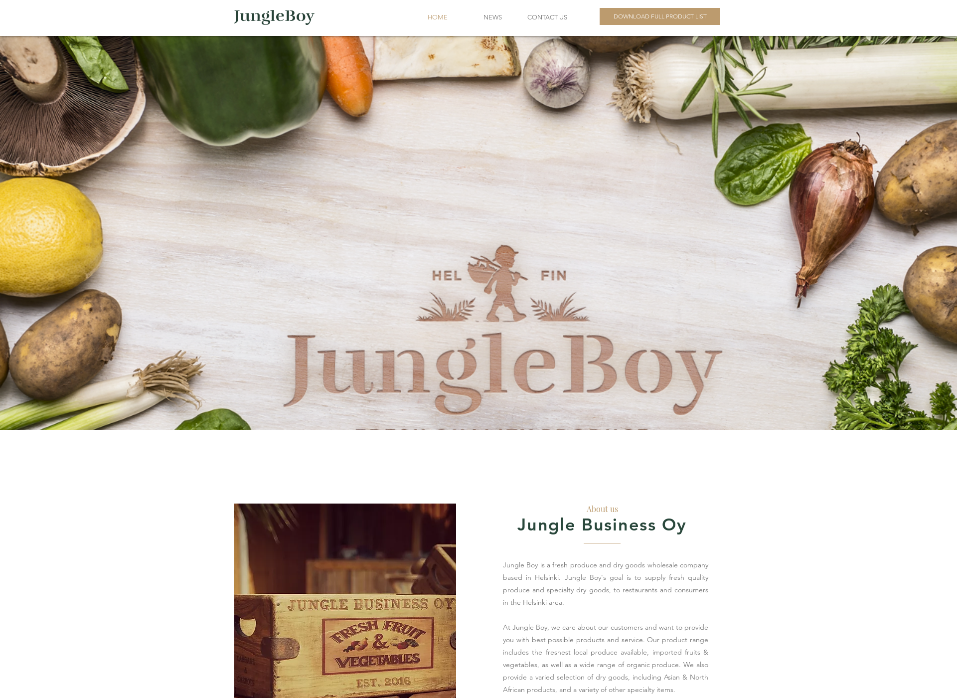 Screenshot for jungleboy.fi