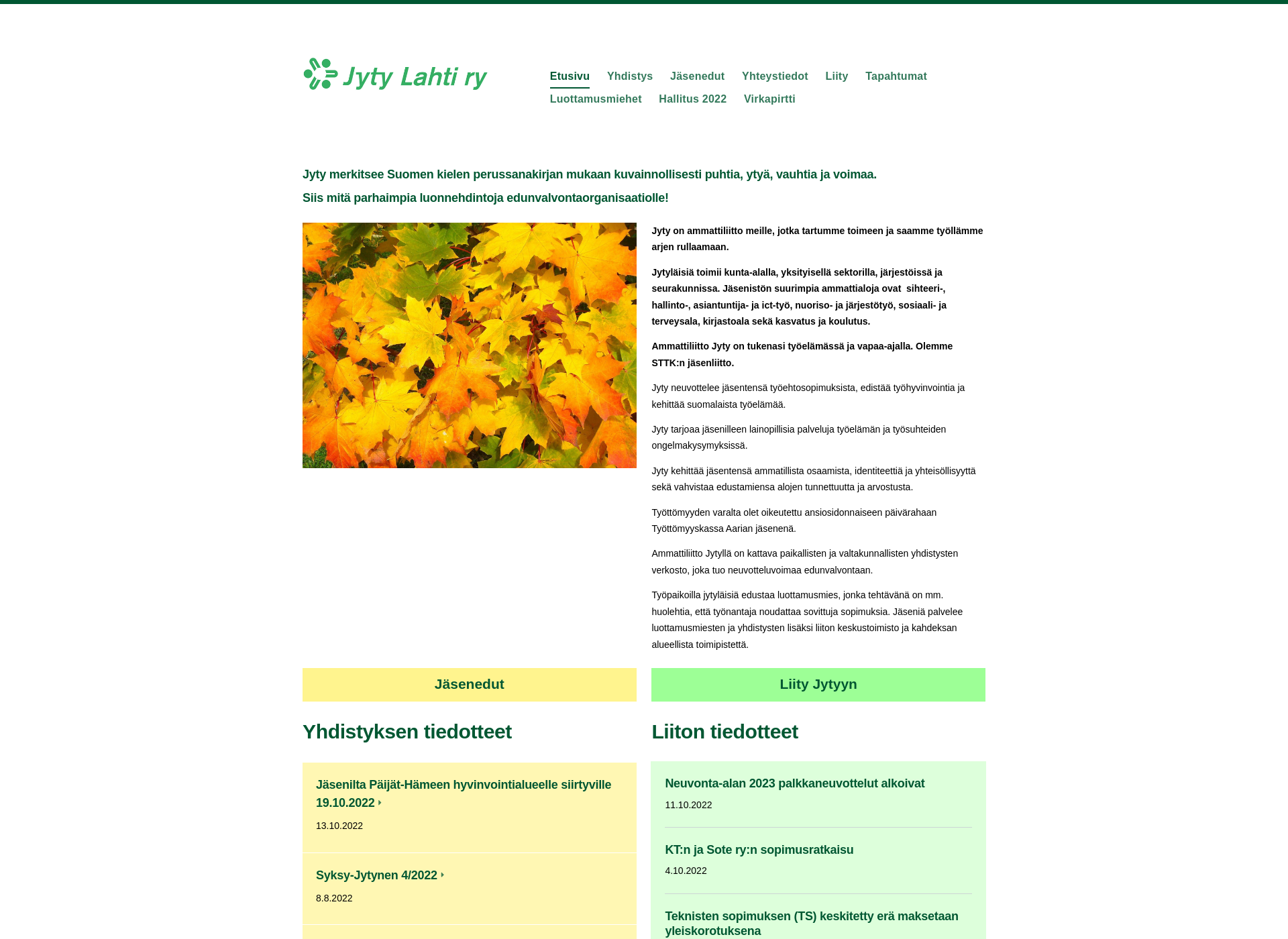 Screenshot for jytylahti.fi